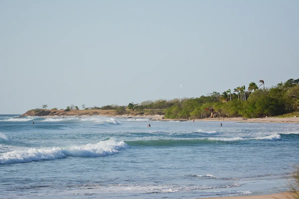 Playa Avellanas