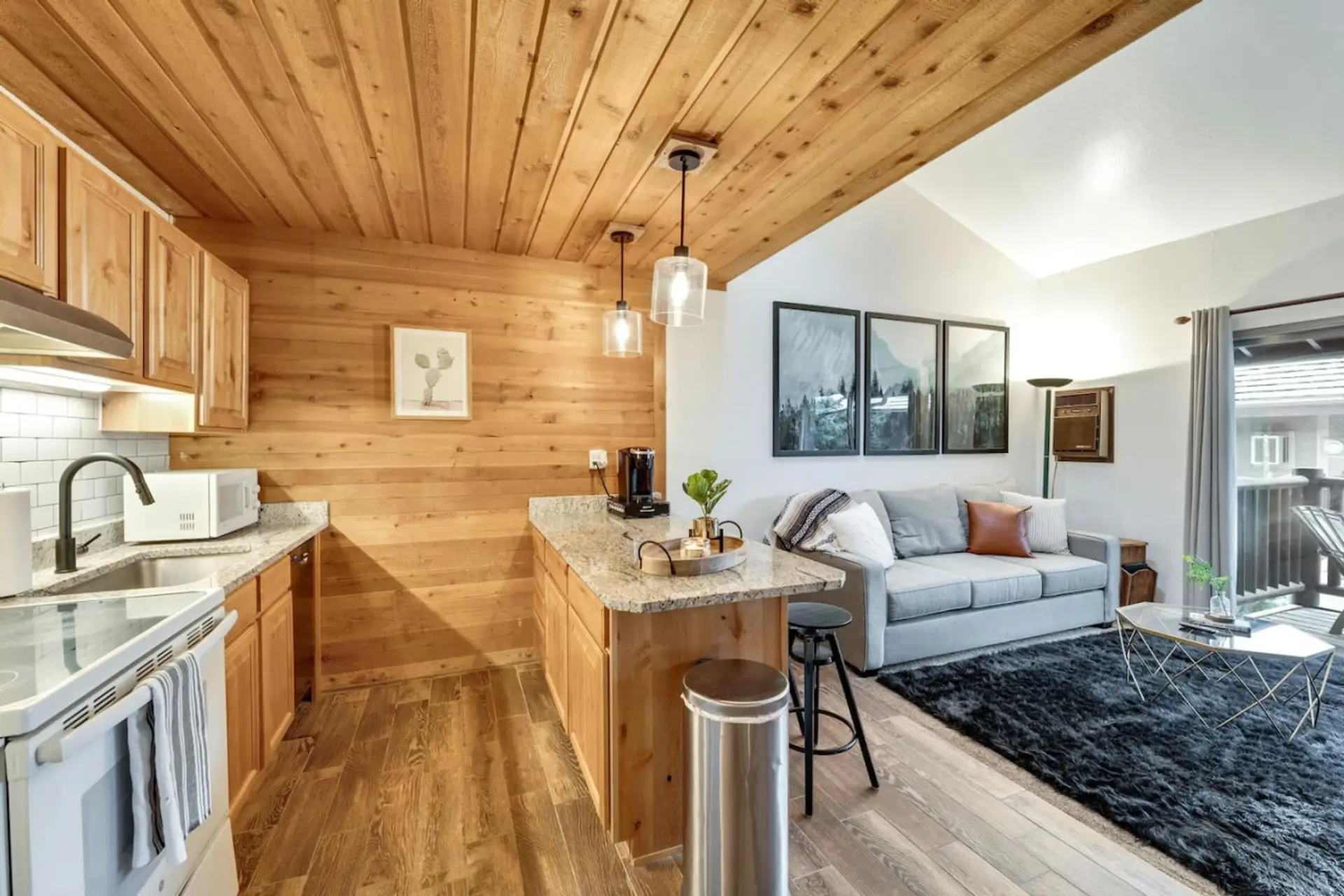 Living room and kitchen