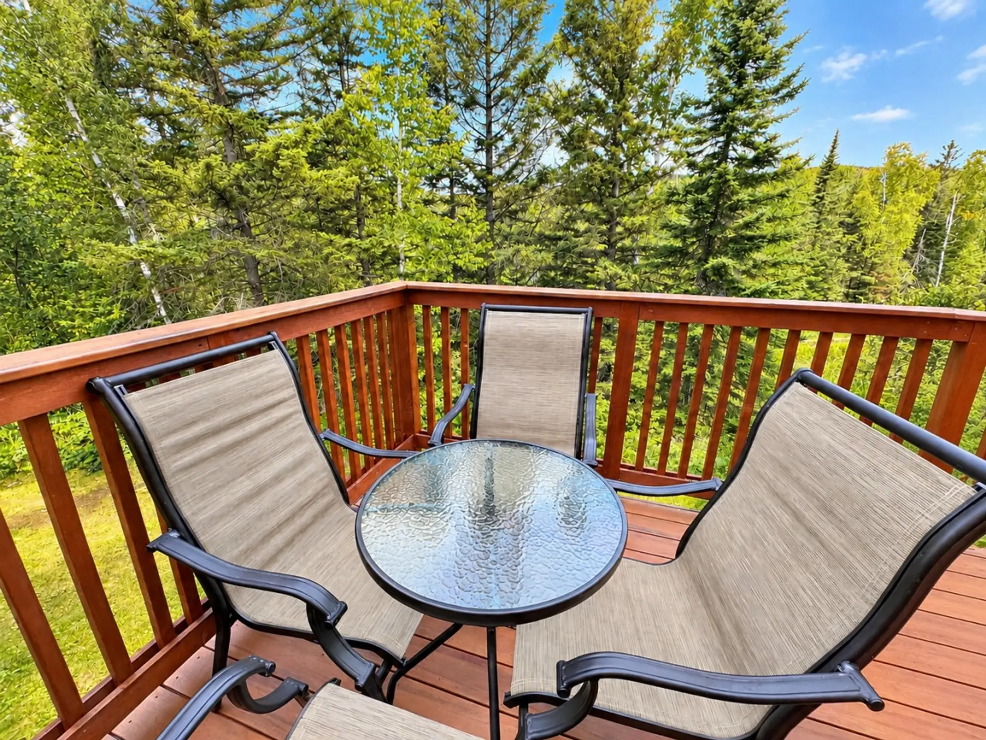 Deck view - Moose Access Ski Run behind trees