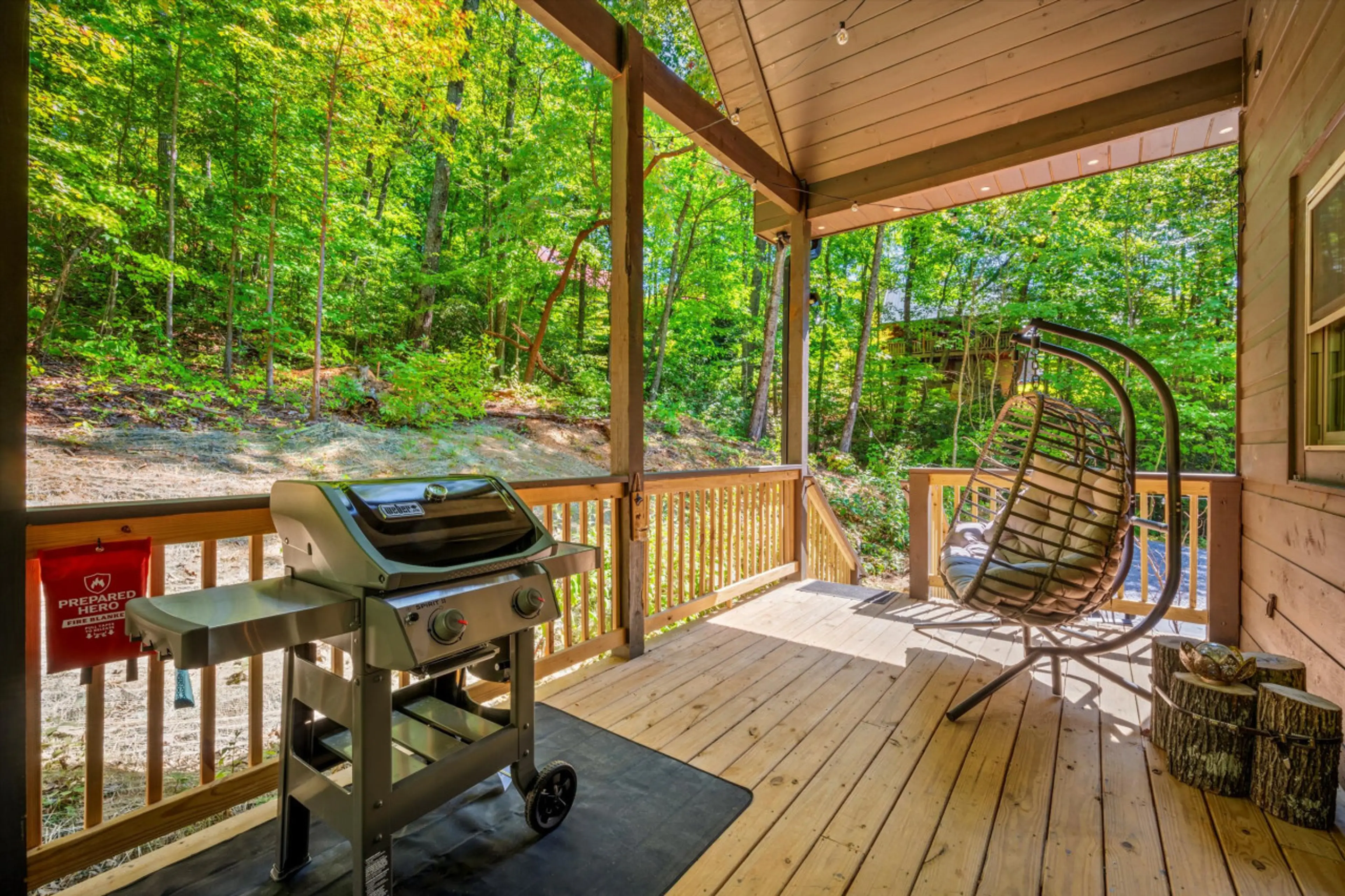 Gas Grill for BBQ and Comfy Outdoor Egg Chair