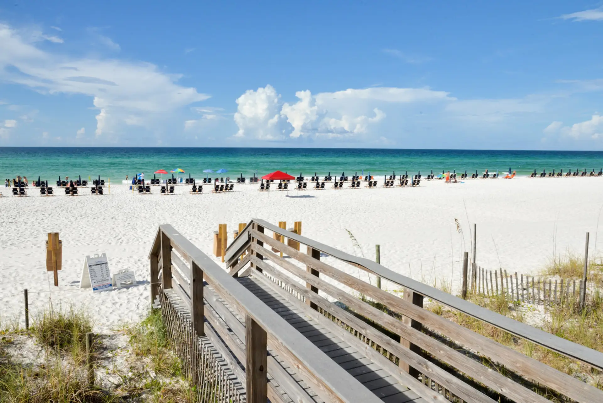 Follow the path to paradise 🌴☀️🏖