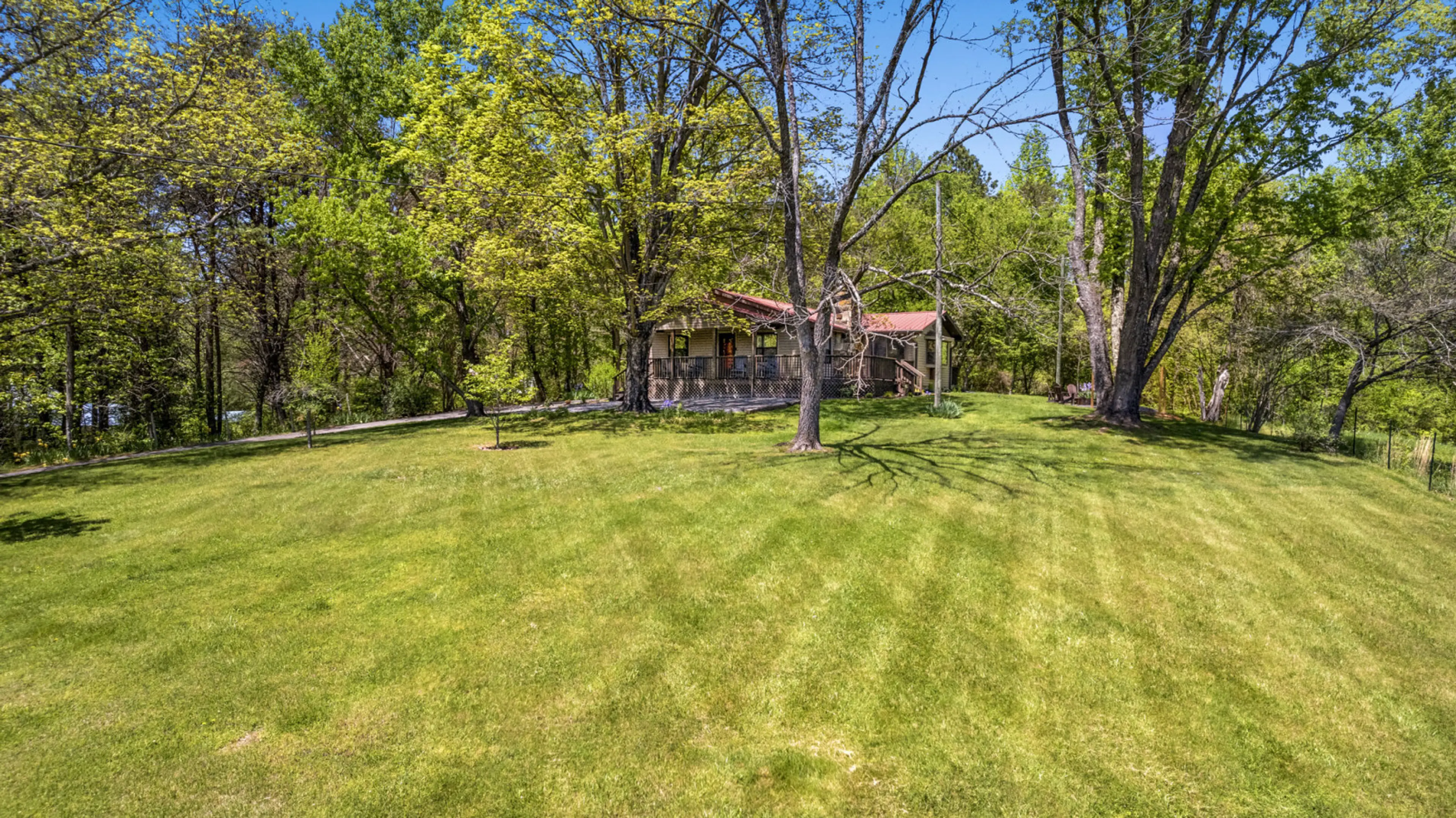 Surround yourself with nature