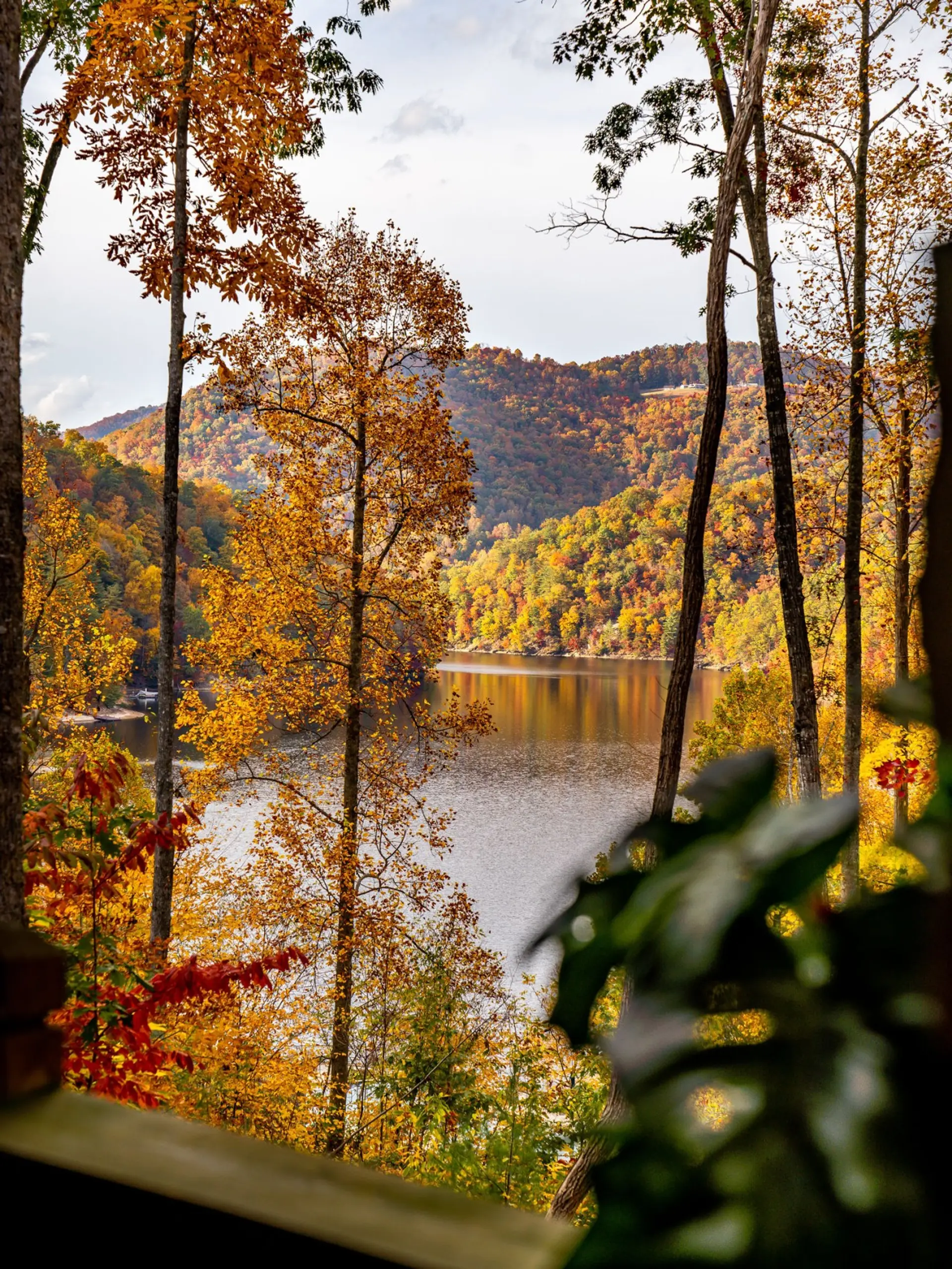 Leaf your worries behind