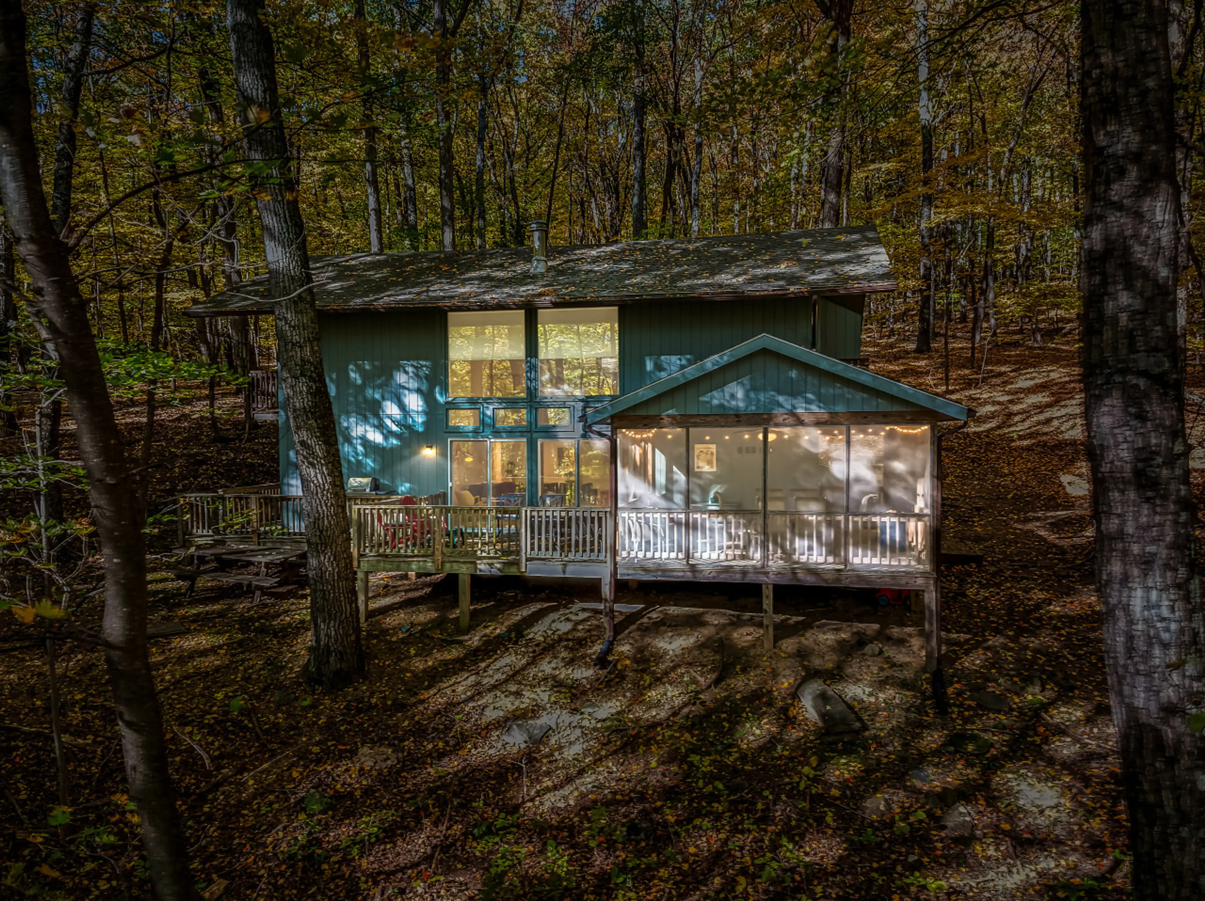 Welcome to Autumn Wings!