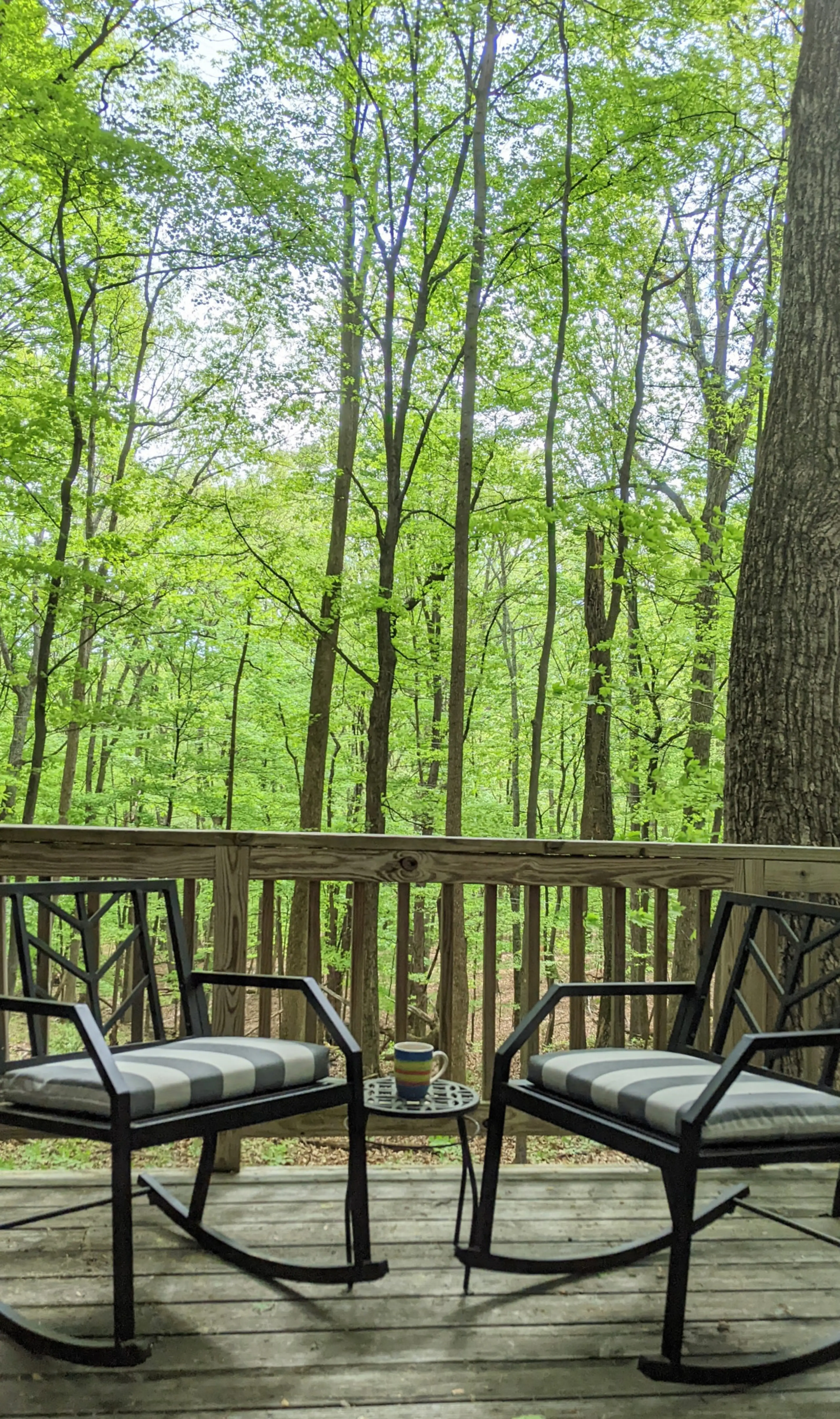 Great spot for morning  coffee