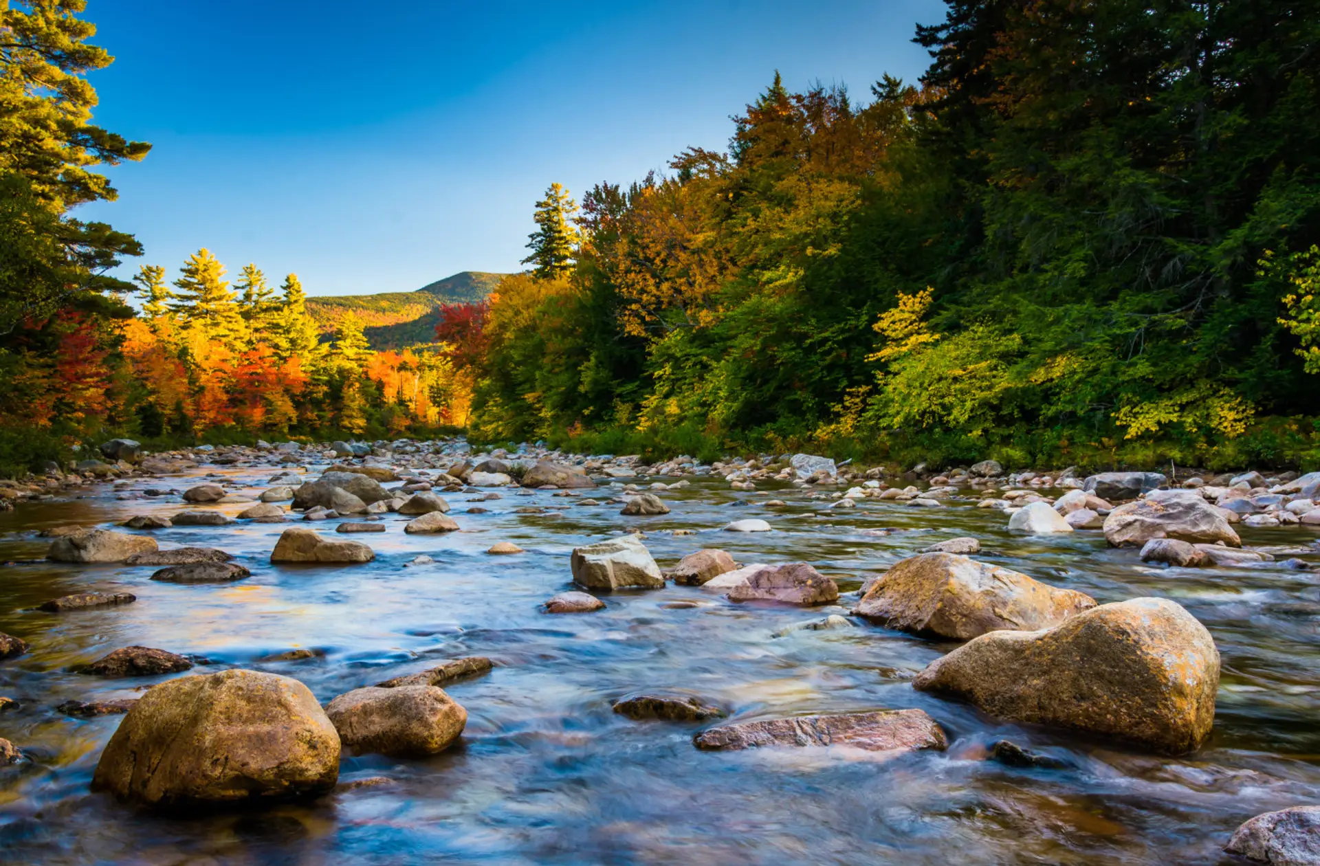 On Rock Creek