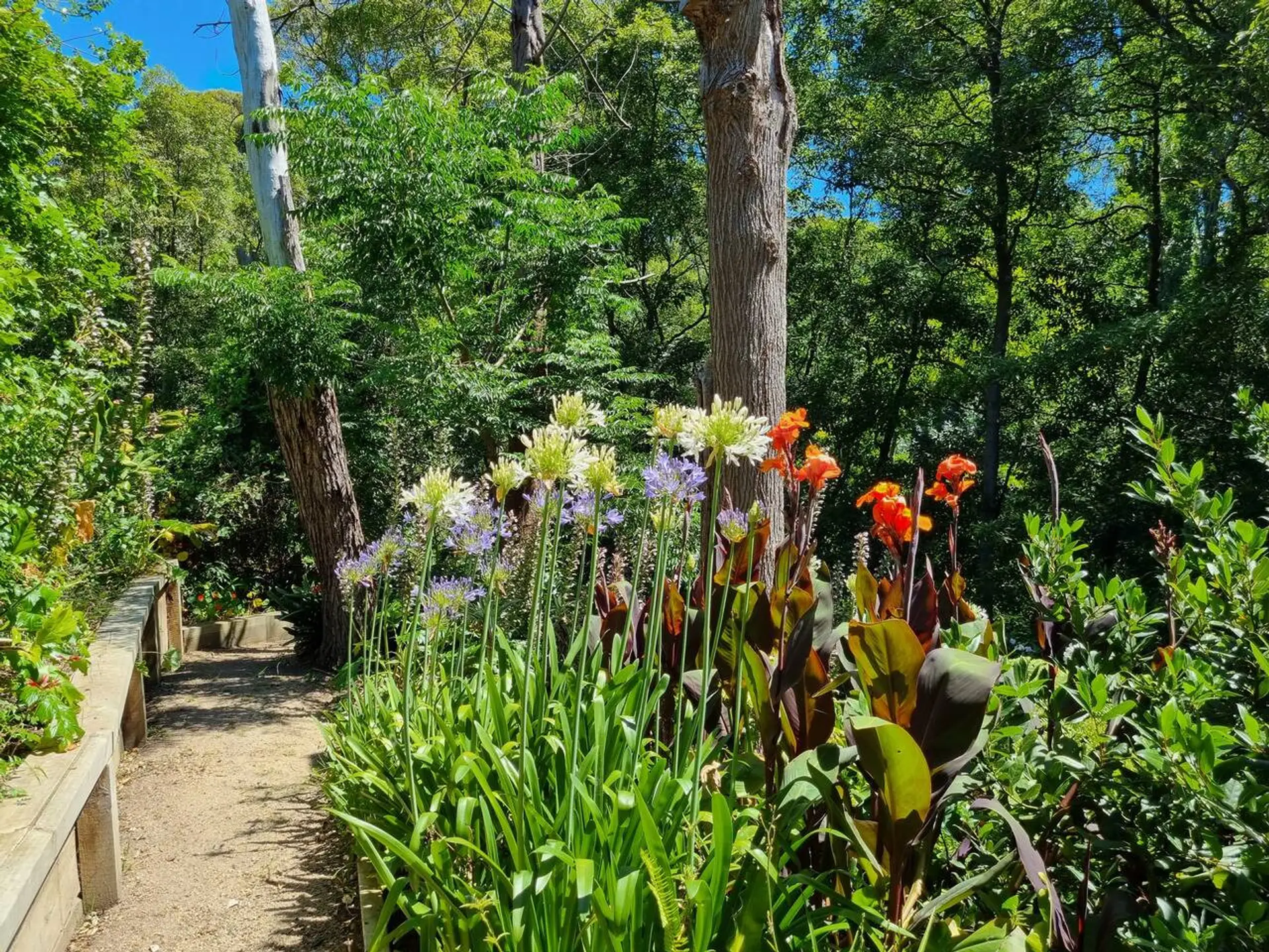 More private backyard garden pathways