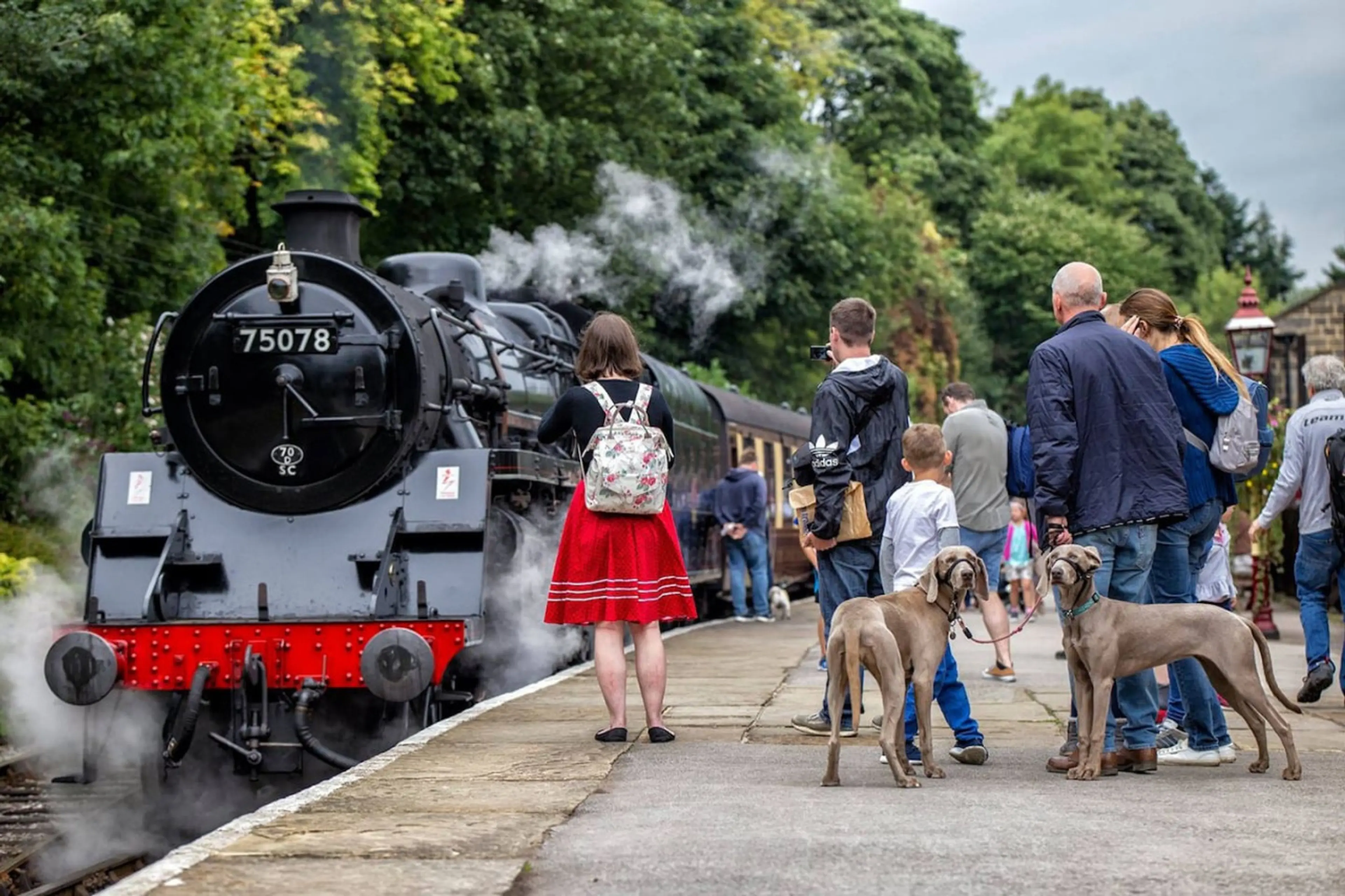 Ambler Thorn →Halifax 10mins | Family Friendly | Pets OK - Image 20