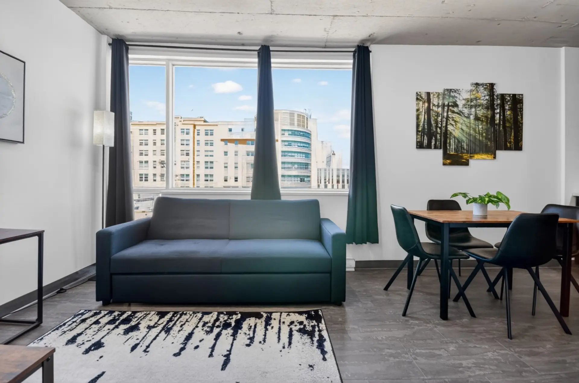 Salon avec divan/lit double