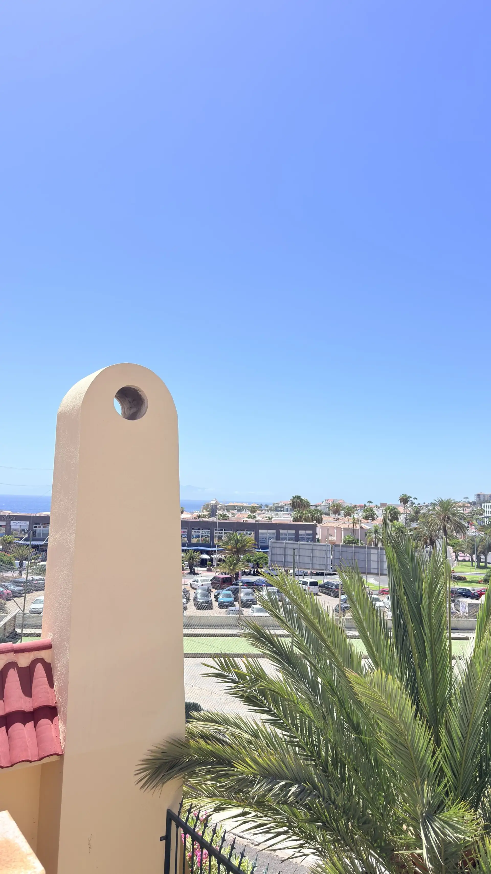Palm trees and sea view from the terrace