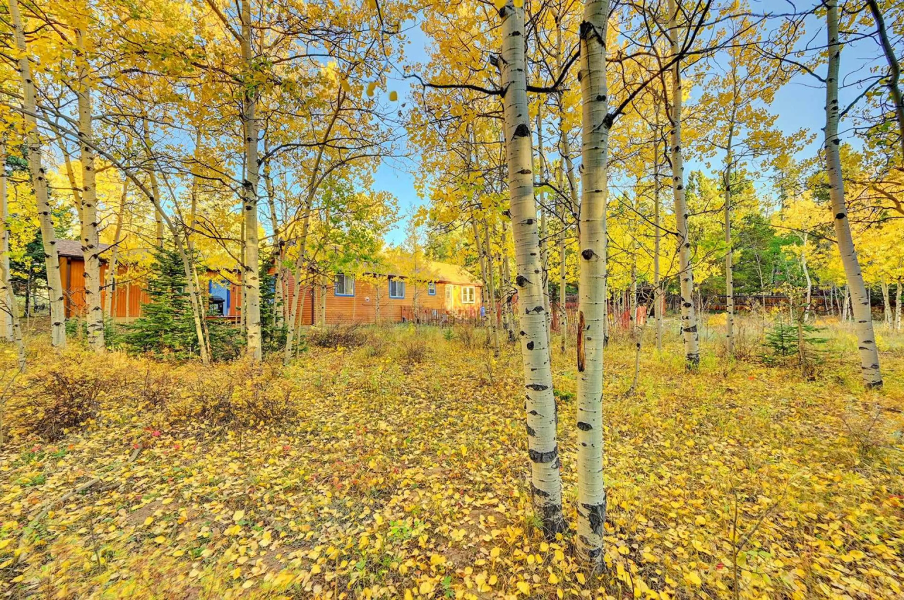 "Embracing the beauty of fall in the mountains 🍂🏞️ The leaves are turning yellow and the air is crisp - it's the perfect time to explore nature's colorful landscape