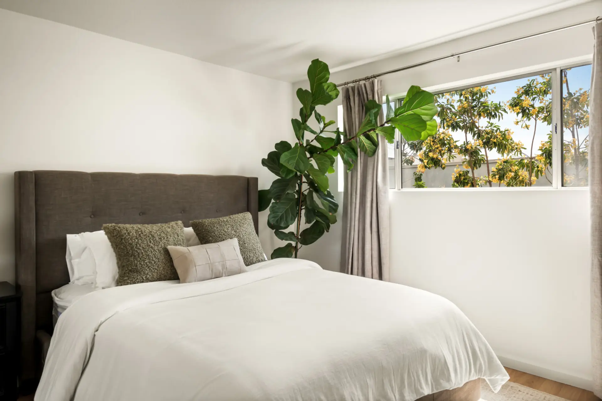 Bright and serene bedroom featuring crisp white linens and a touch of greenery beside the bed.