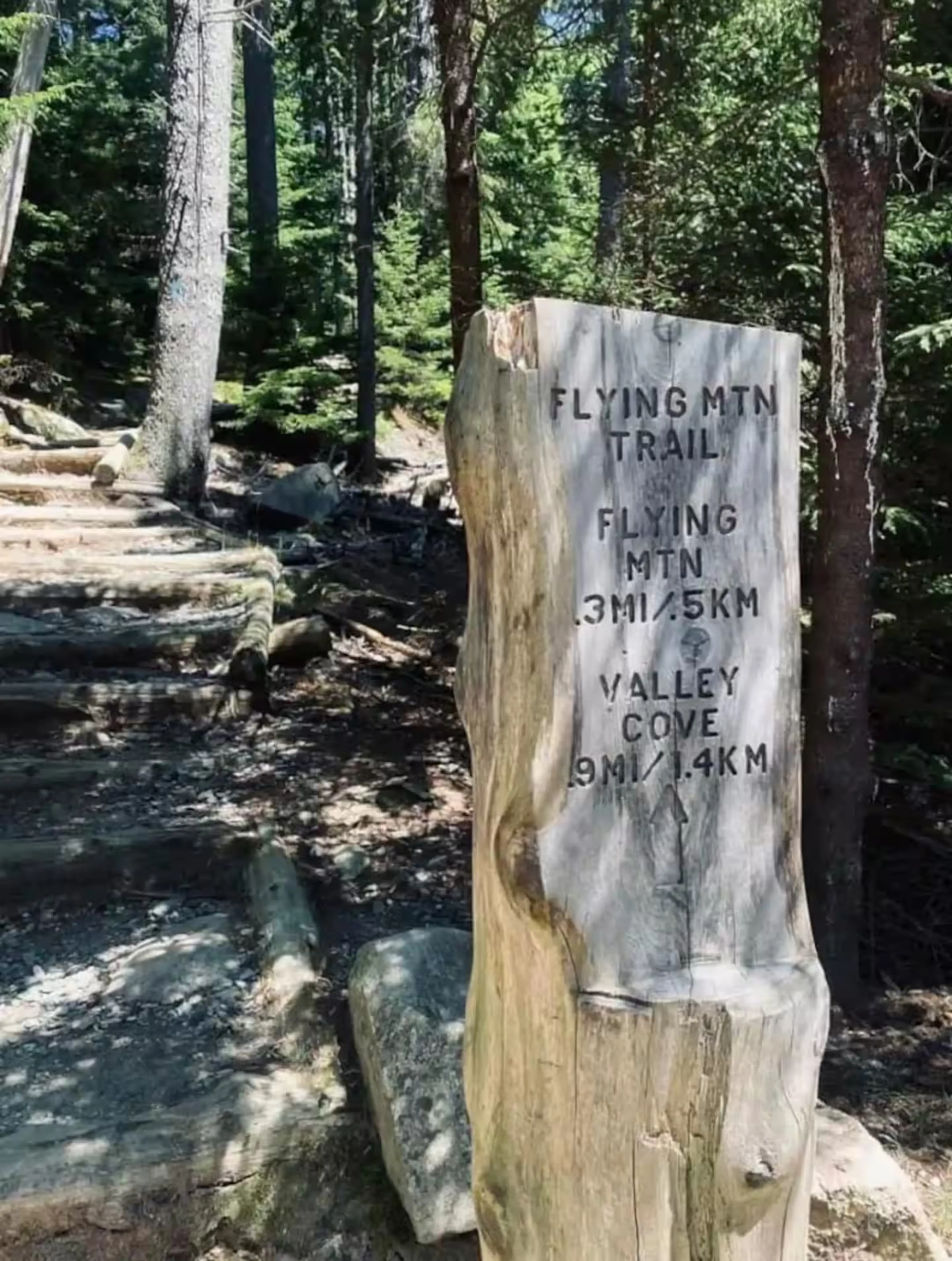 Views from Acadia National Park