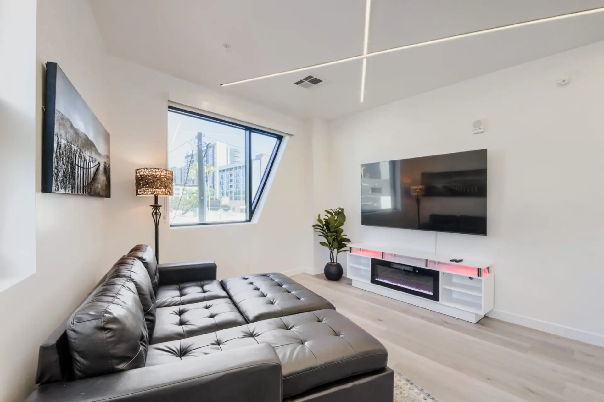 TV and Fireplace