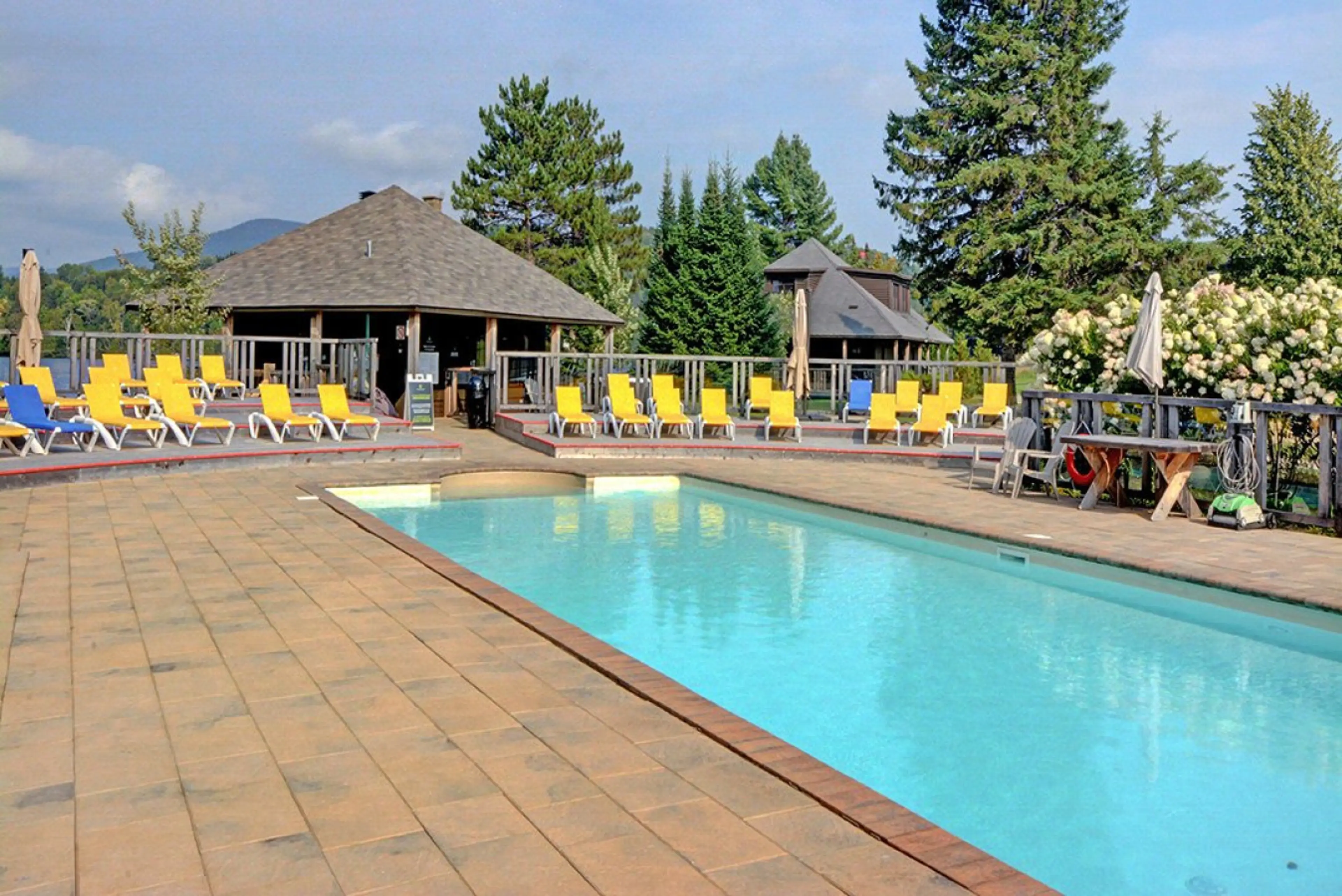 shared swimming pool