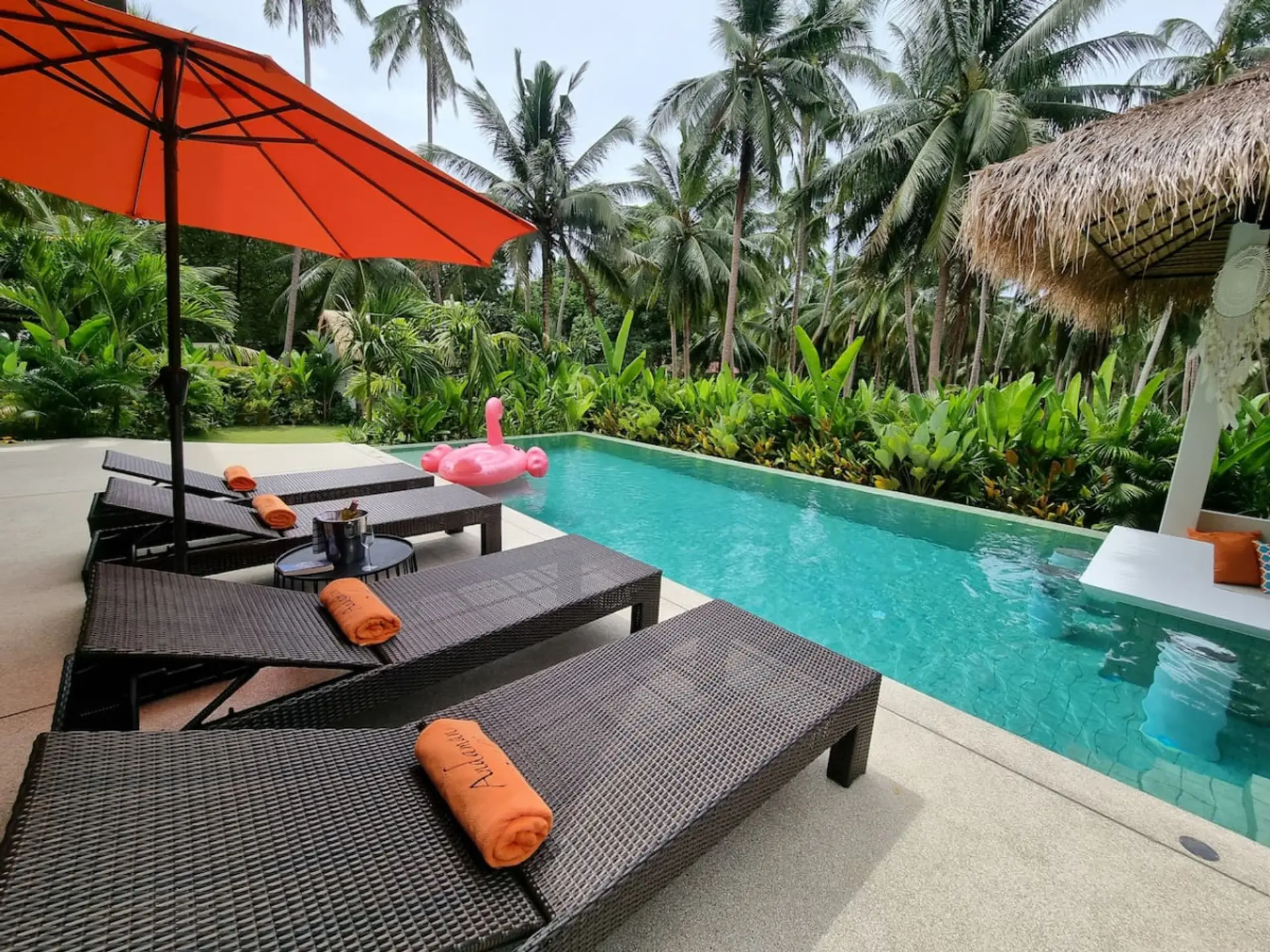 Pool Jungle View