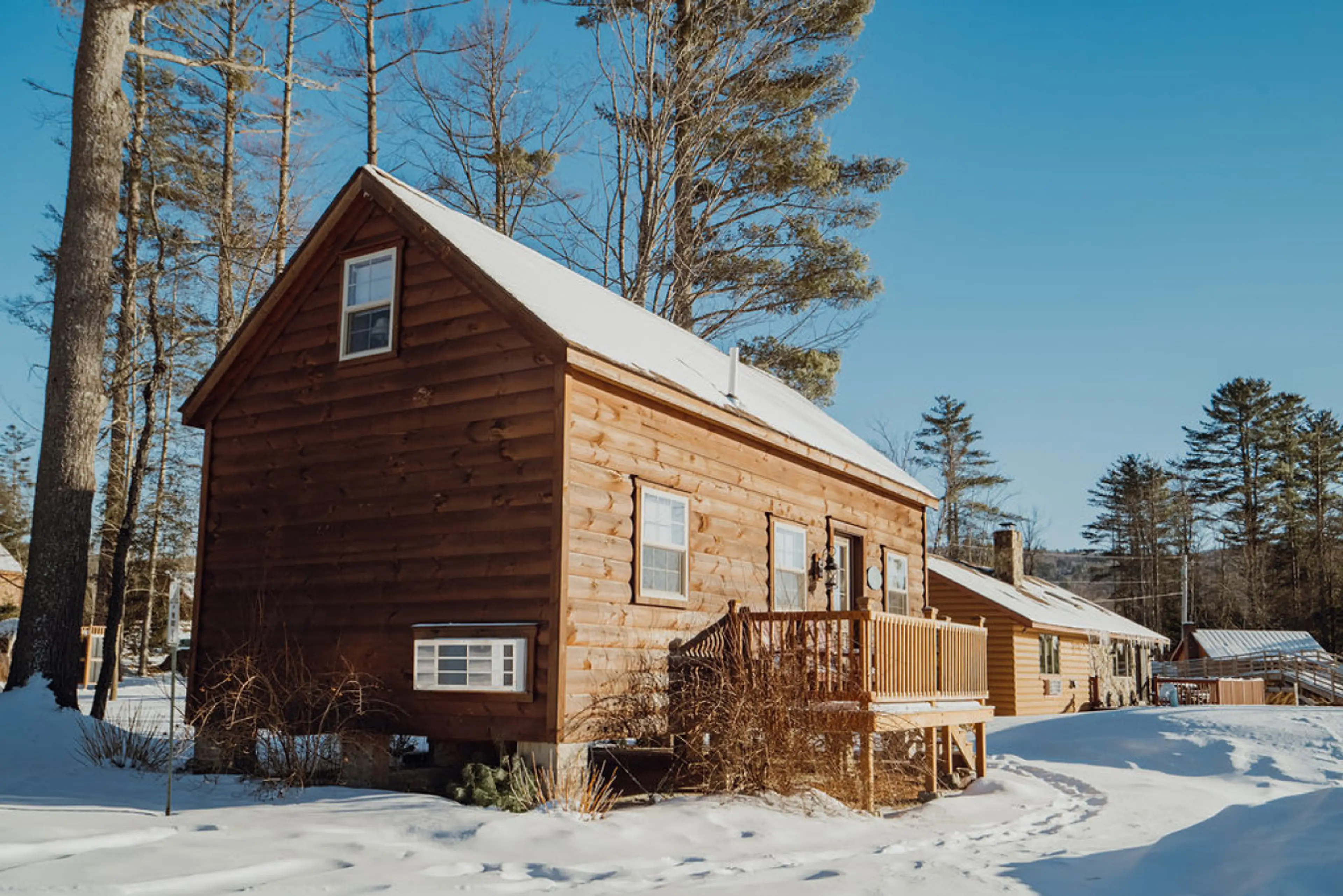 Pine #4 Exterior