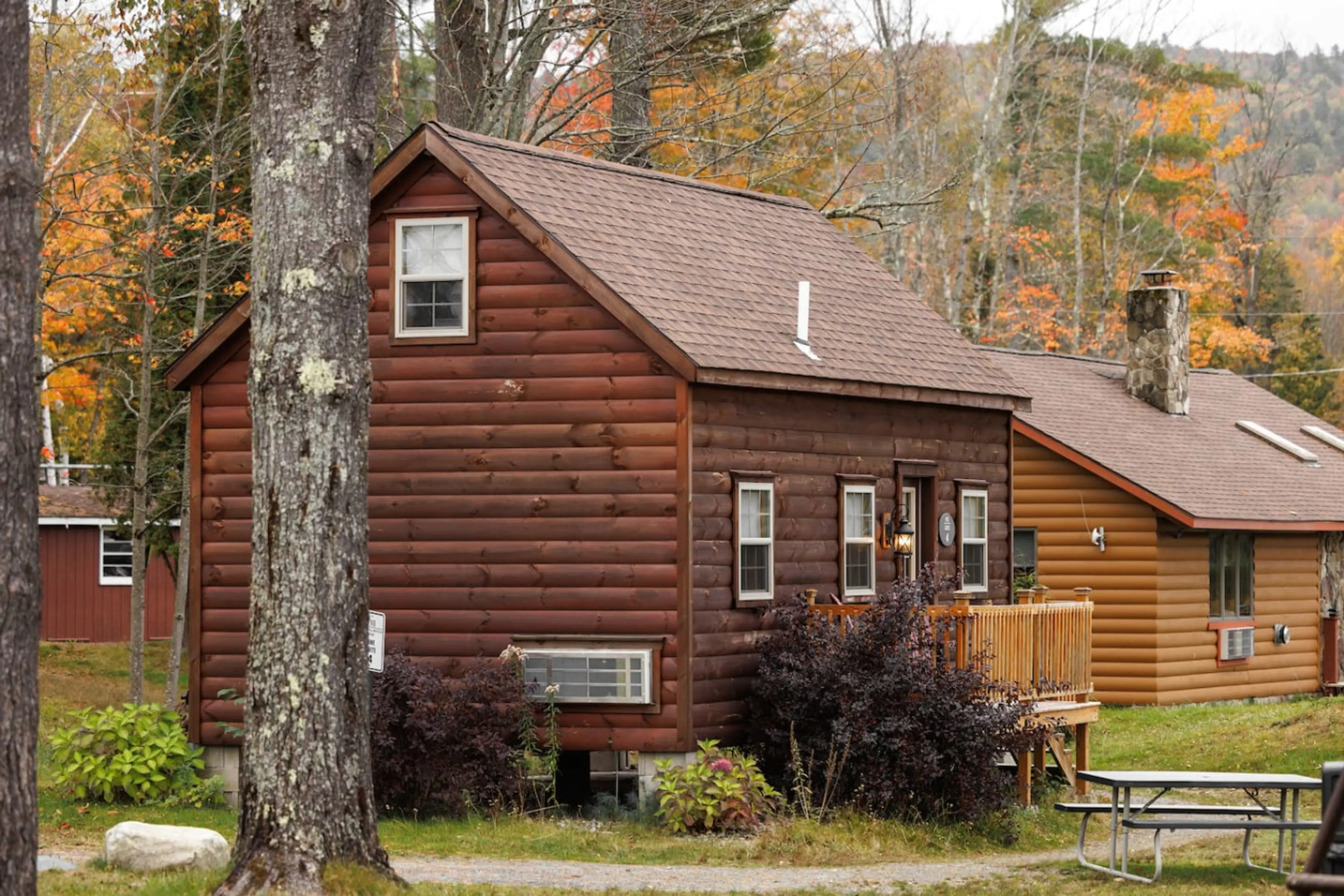 Pine #4 Exterior