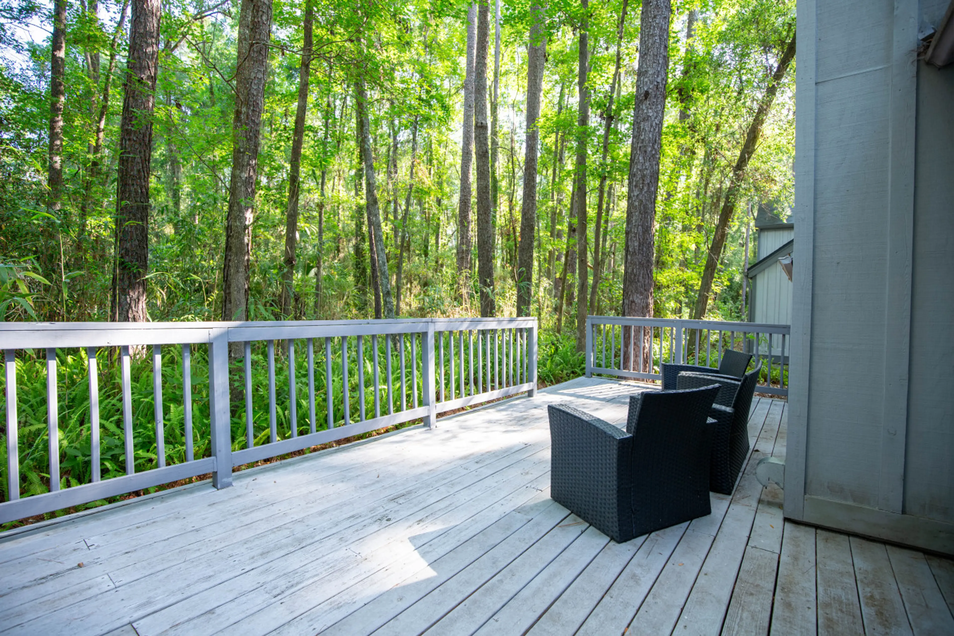 🌲 Backyard & Tree Line View  Nature right outside your door—great for birdwatching or peaceful mornings.