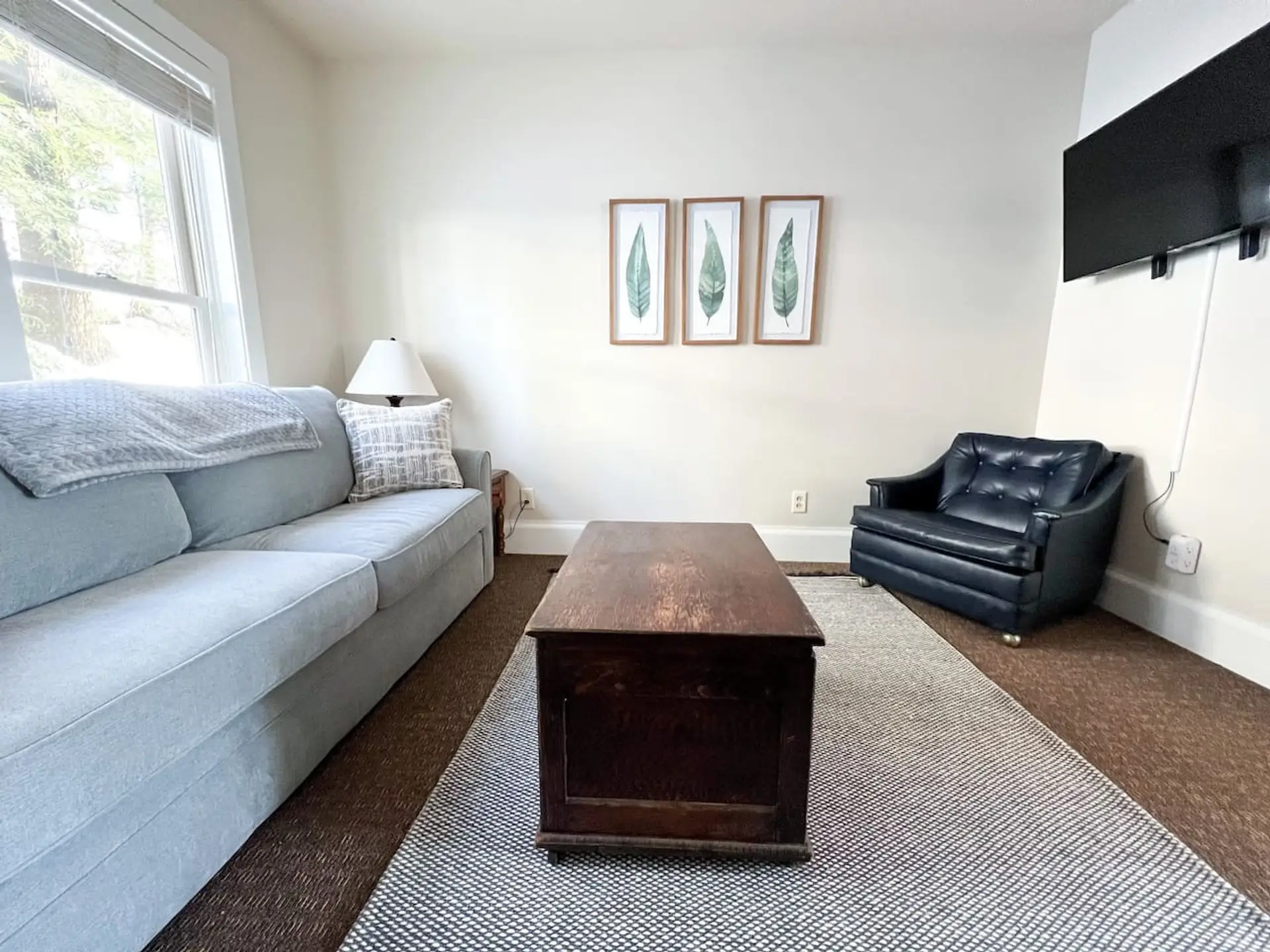 Living Room with New Queen Sleeper Sofa and ROKU TV