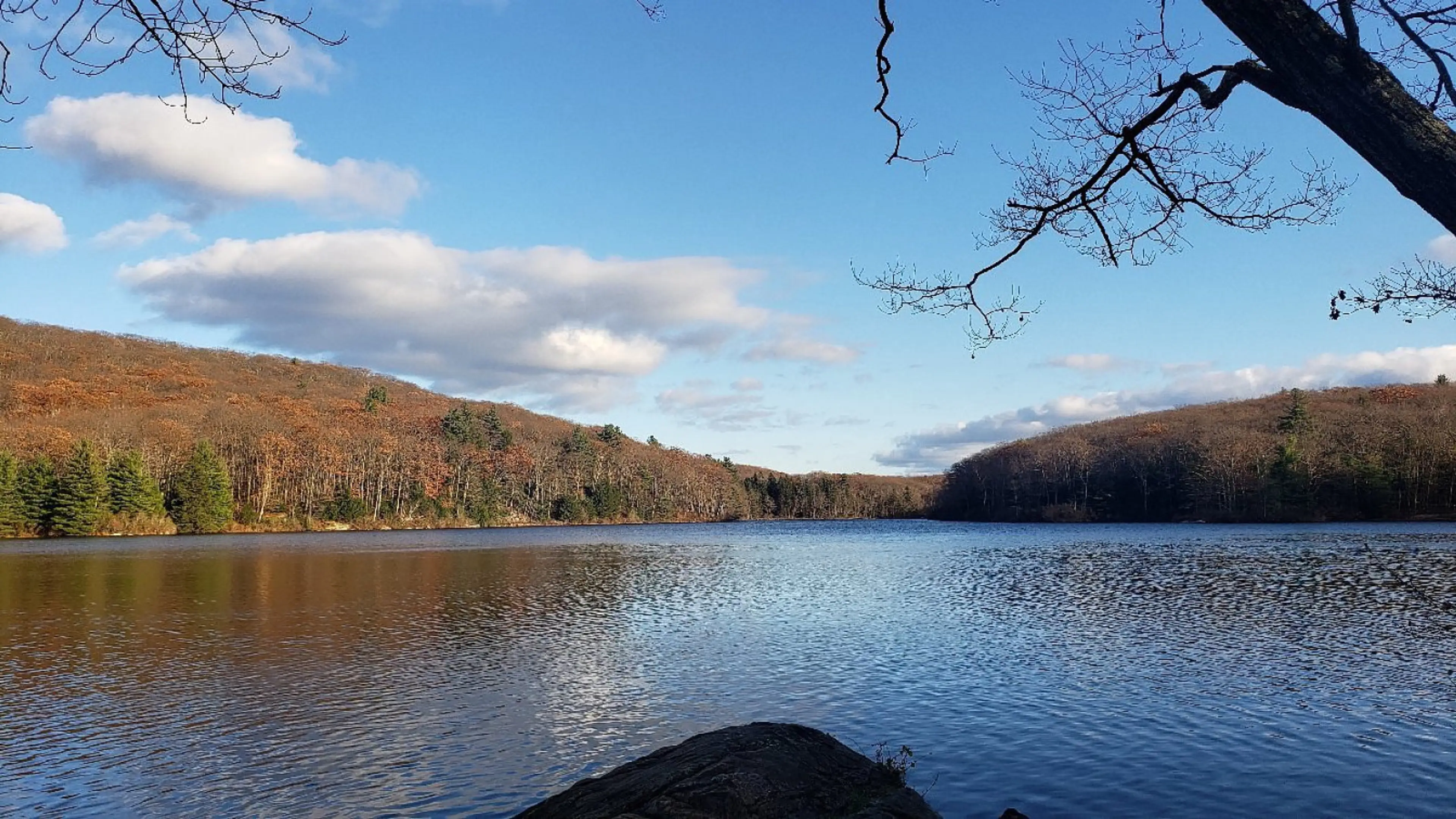 Discover miles of scenic trails, Benedict Pond, and abundant wildlife in this peaceful 10,000-acre forest, perfect for hiking, swimming, and outdoor adventures.