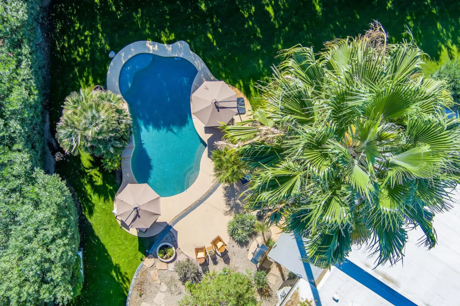 Drone Shot of the Large and Luscious Backyard