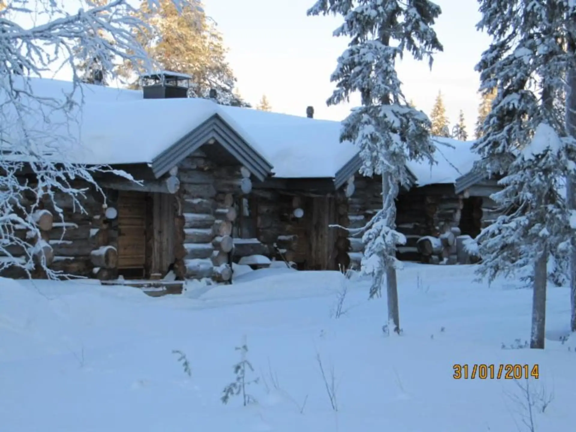 The log cabin surrounded by snow-covered spruce trees in winter.