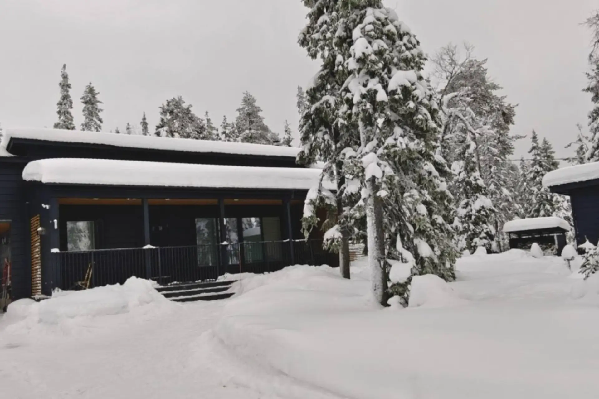 Exterior view of the villa surrounded by snow-covered forest in winter.