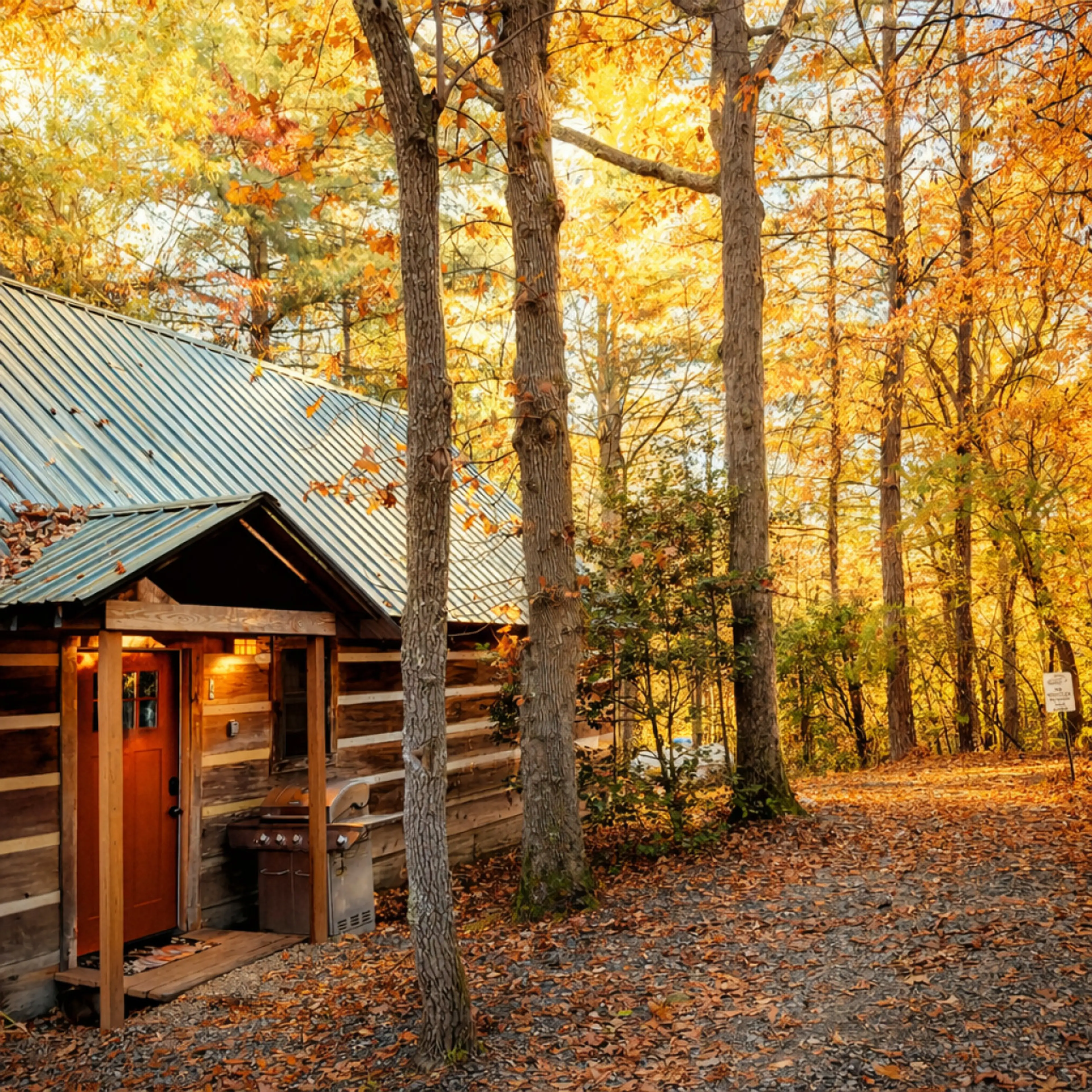 True Appalachian style cabin