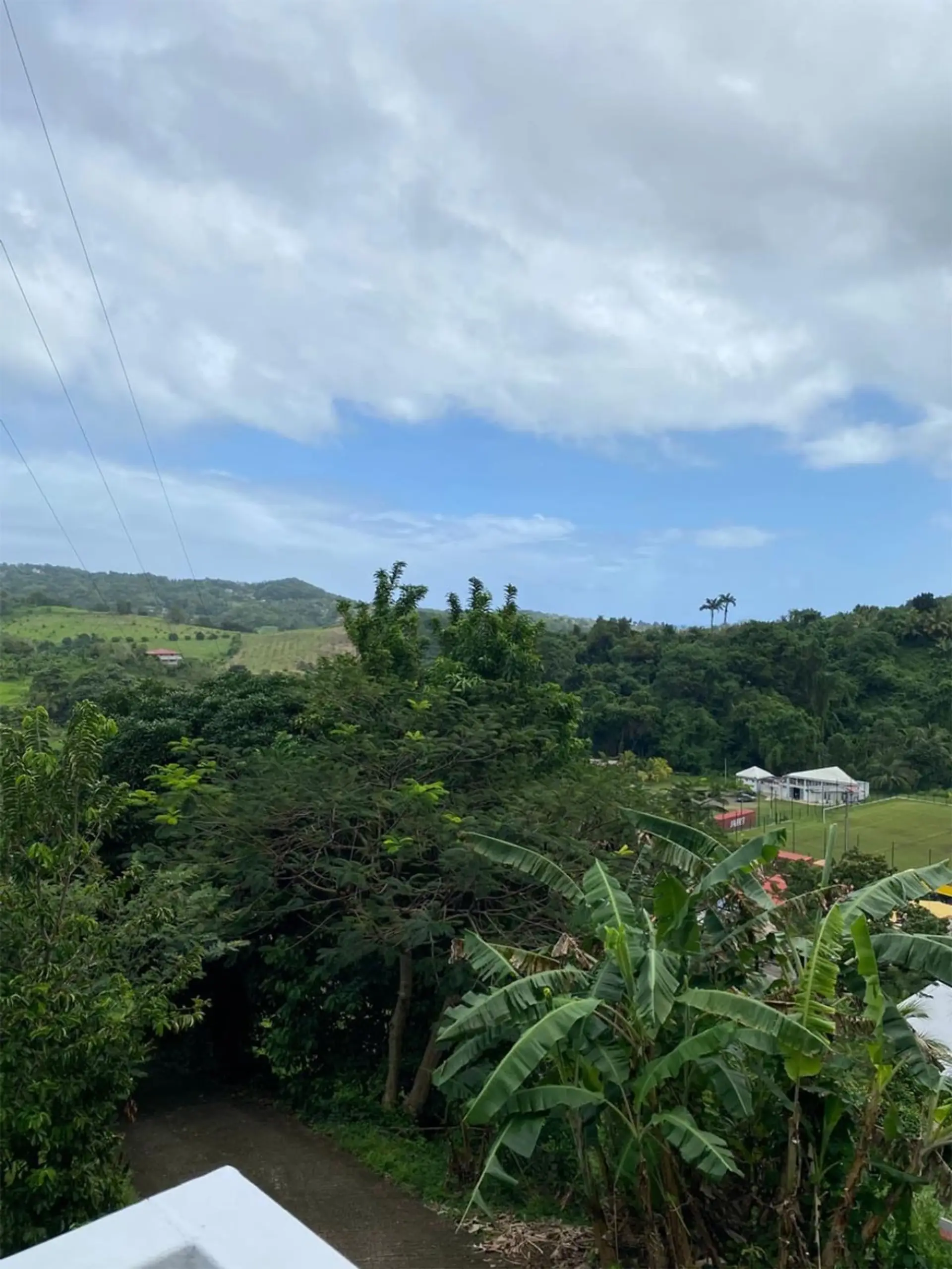 Vue panoramique sur la nature luxuriante et la vallée. Un paysage à couper le souffle, entre verdure et horizon tropical.