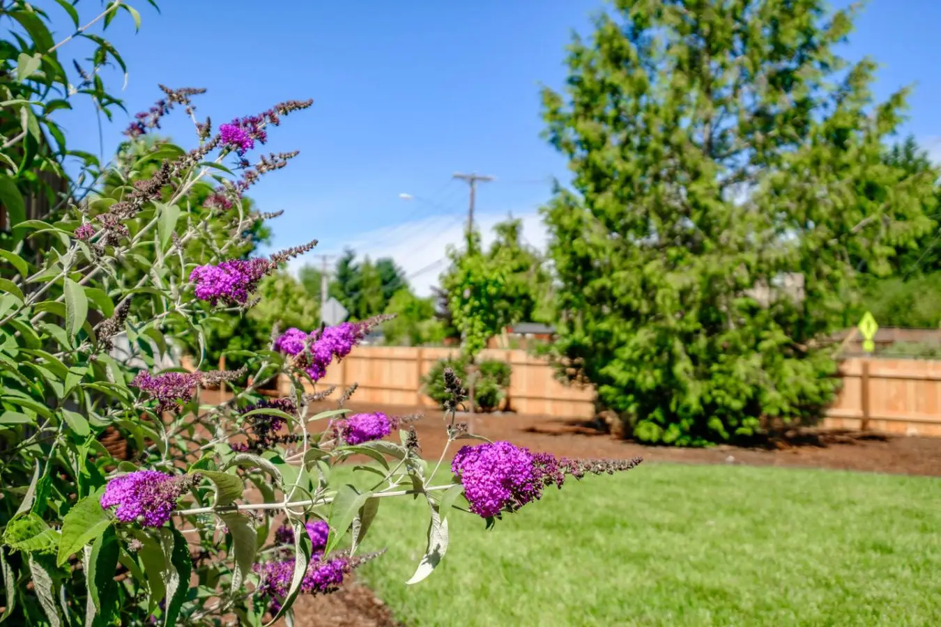 Corvallis Modern Oasis — Breakfast Included - Image 53