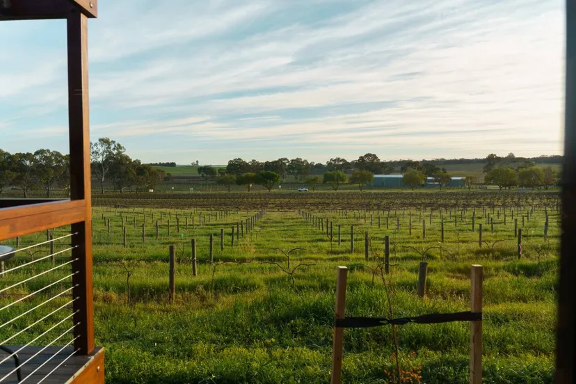The Merlot retreat at AUTRA Lyndoch