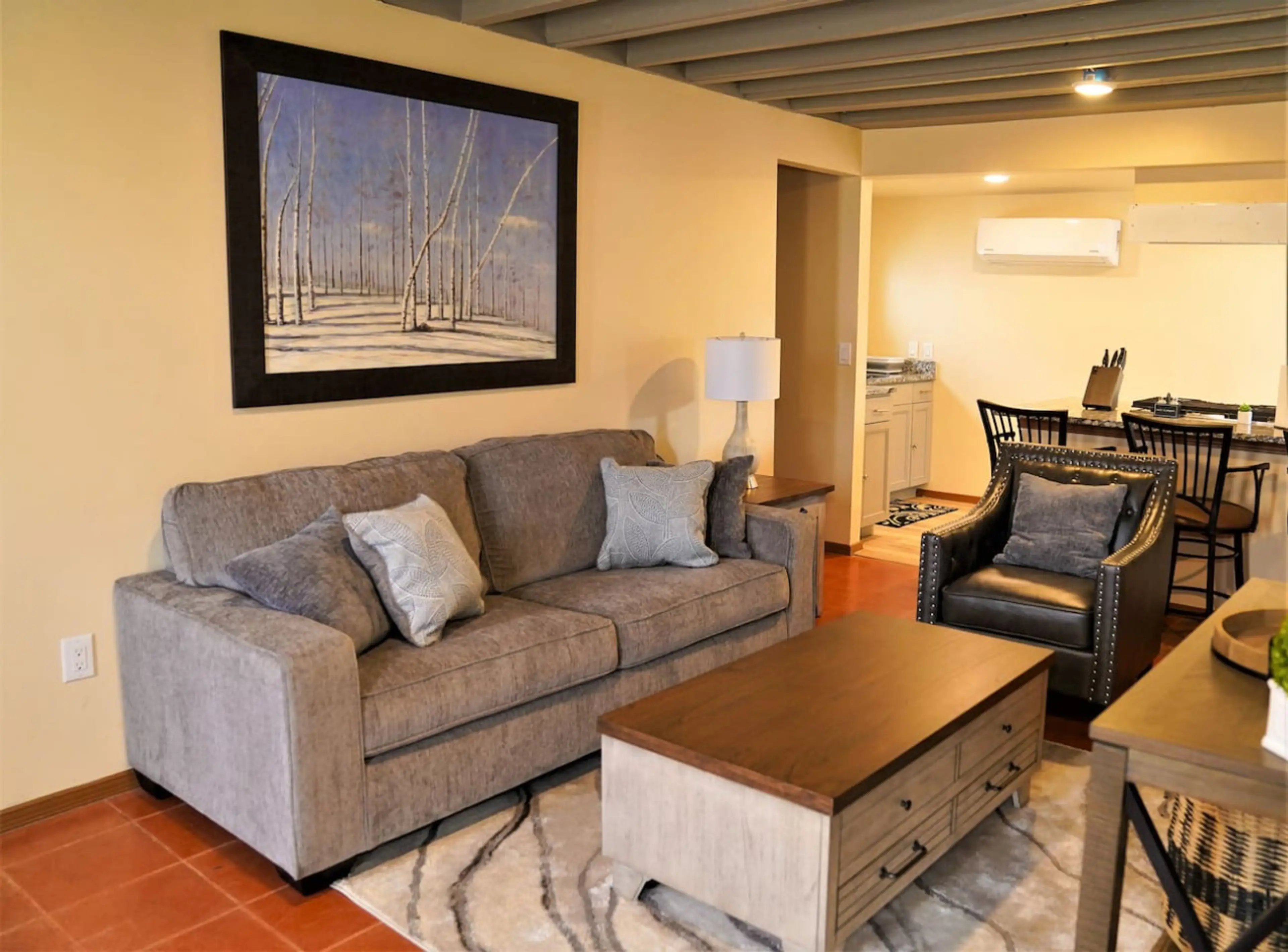 Living Room - Seating Area Leads into Kitchen, Pullout Queen Bed from Couch, TV, and Mini Split Location