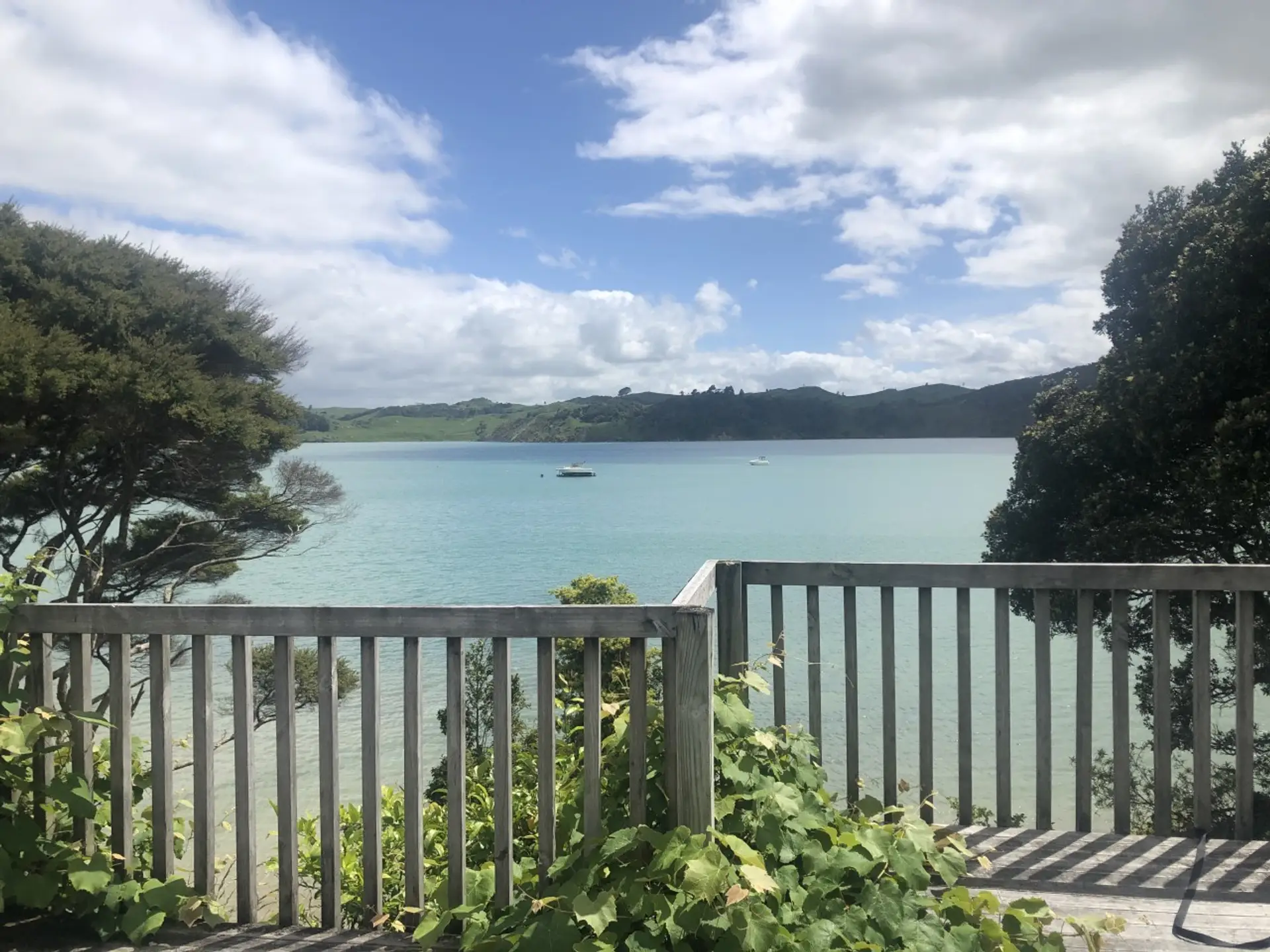 View over the harbour