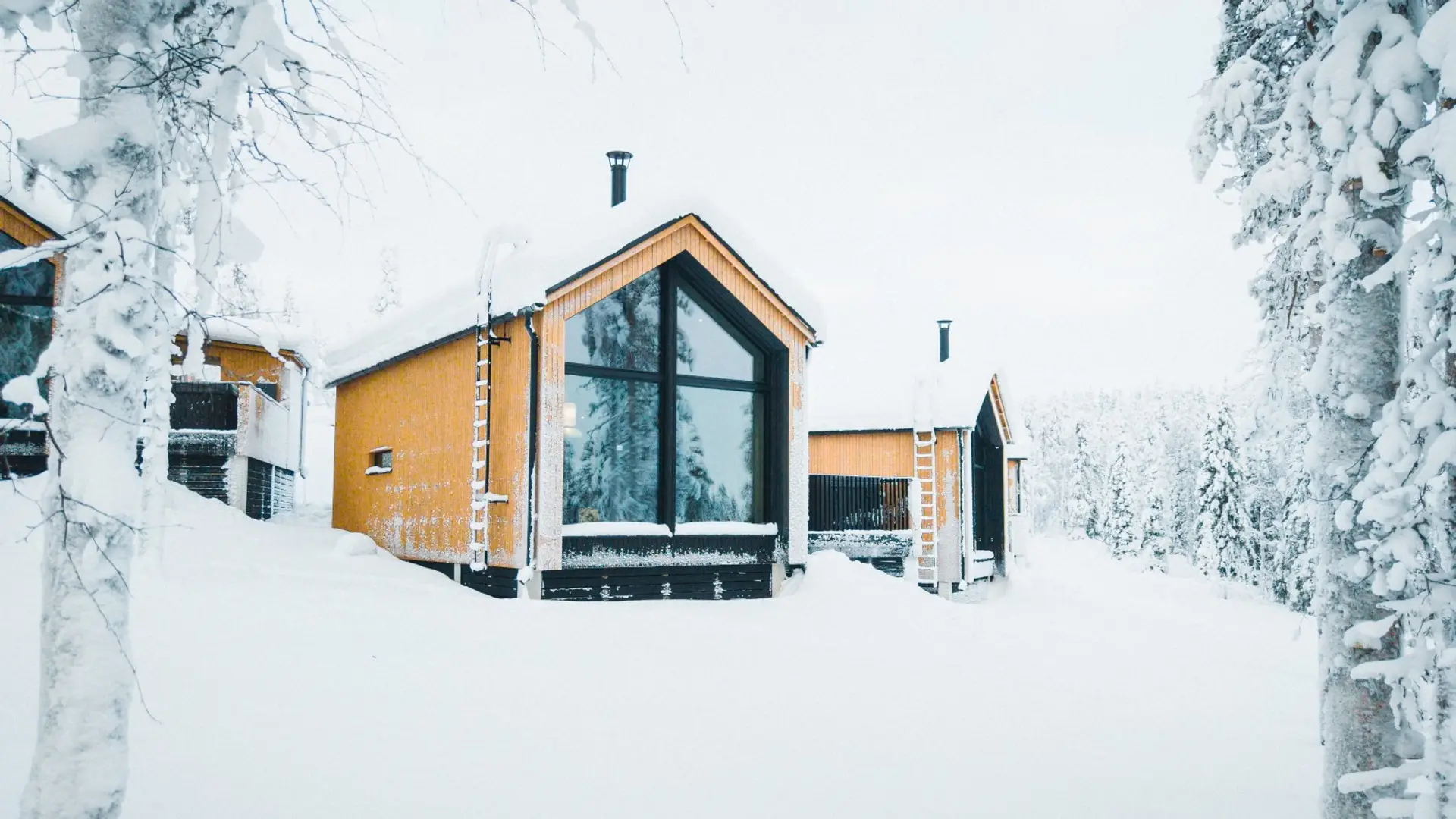 Luxury Cabin in Lapland2