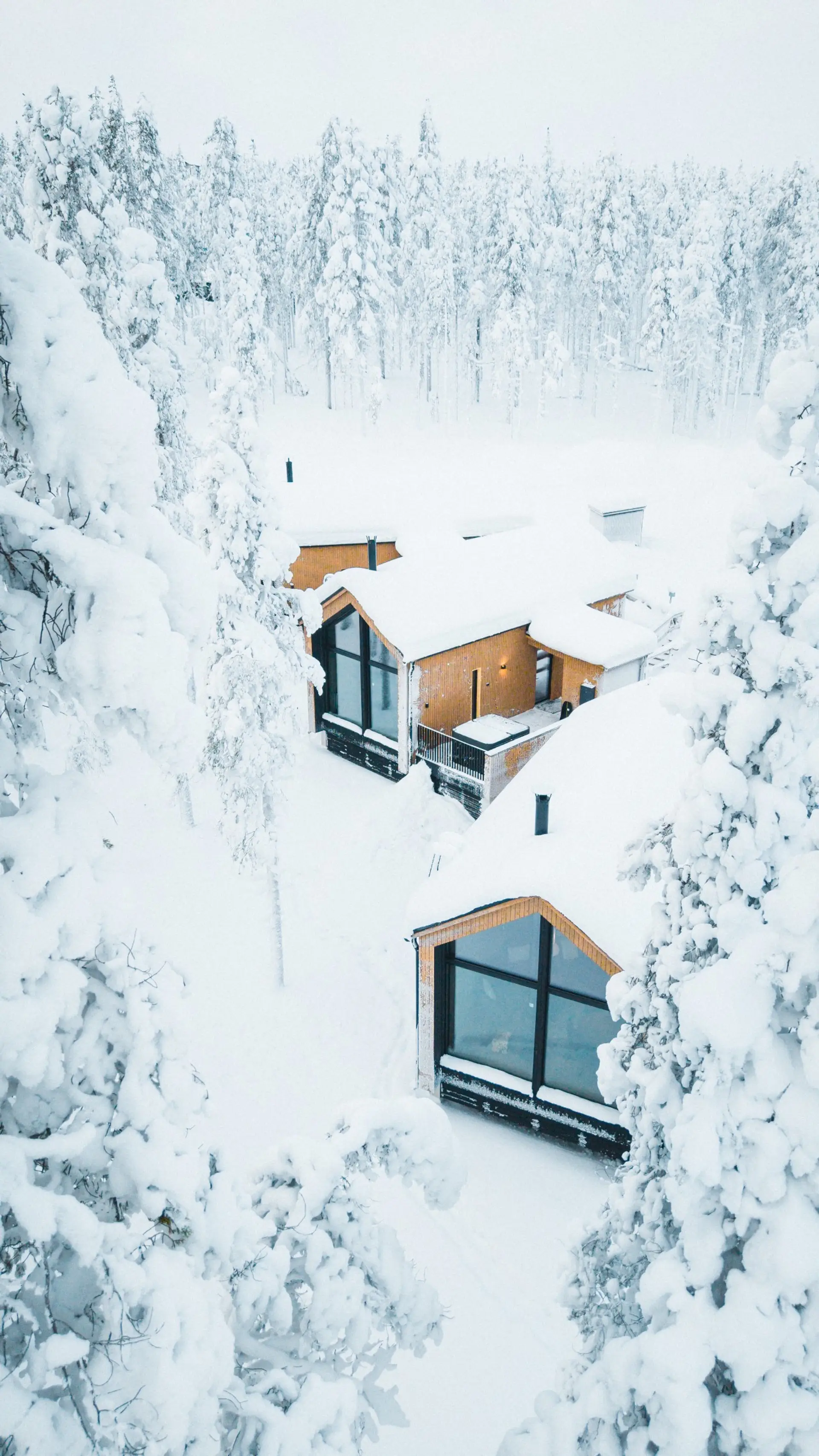 Luxury Cabin in Lapland