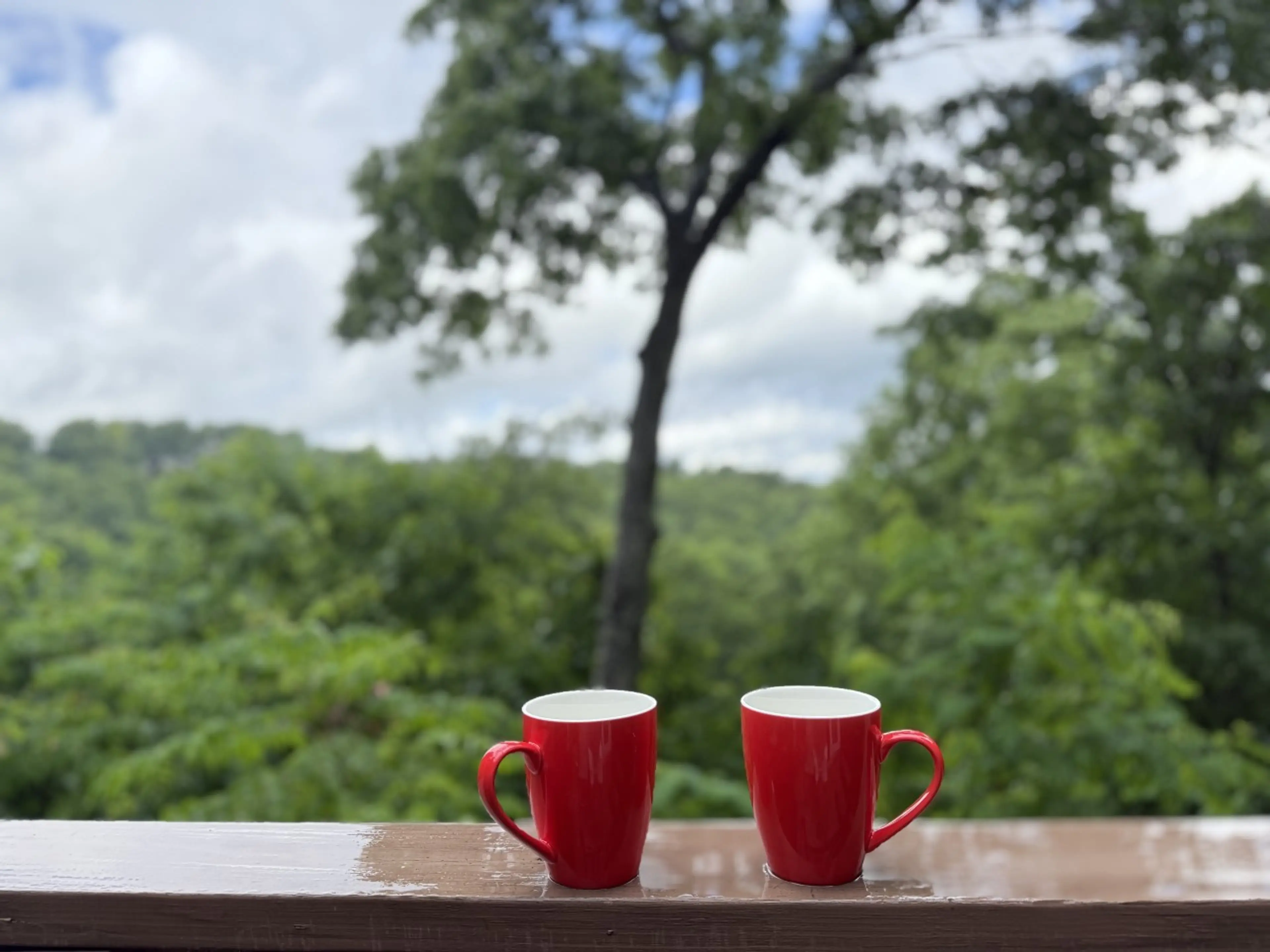 Morning coffee on the deck — Smoky Mountain views from Bear Cub Chalet