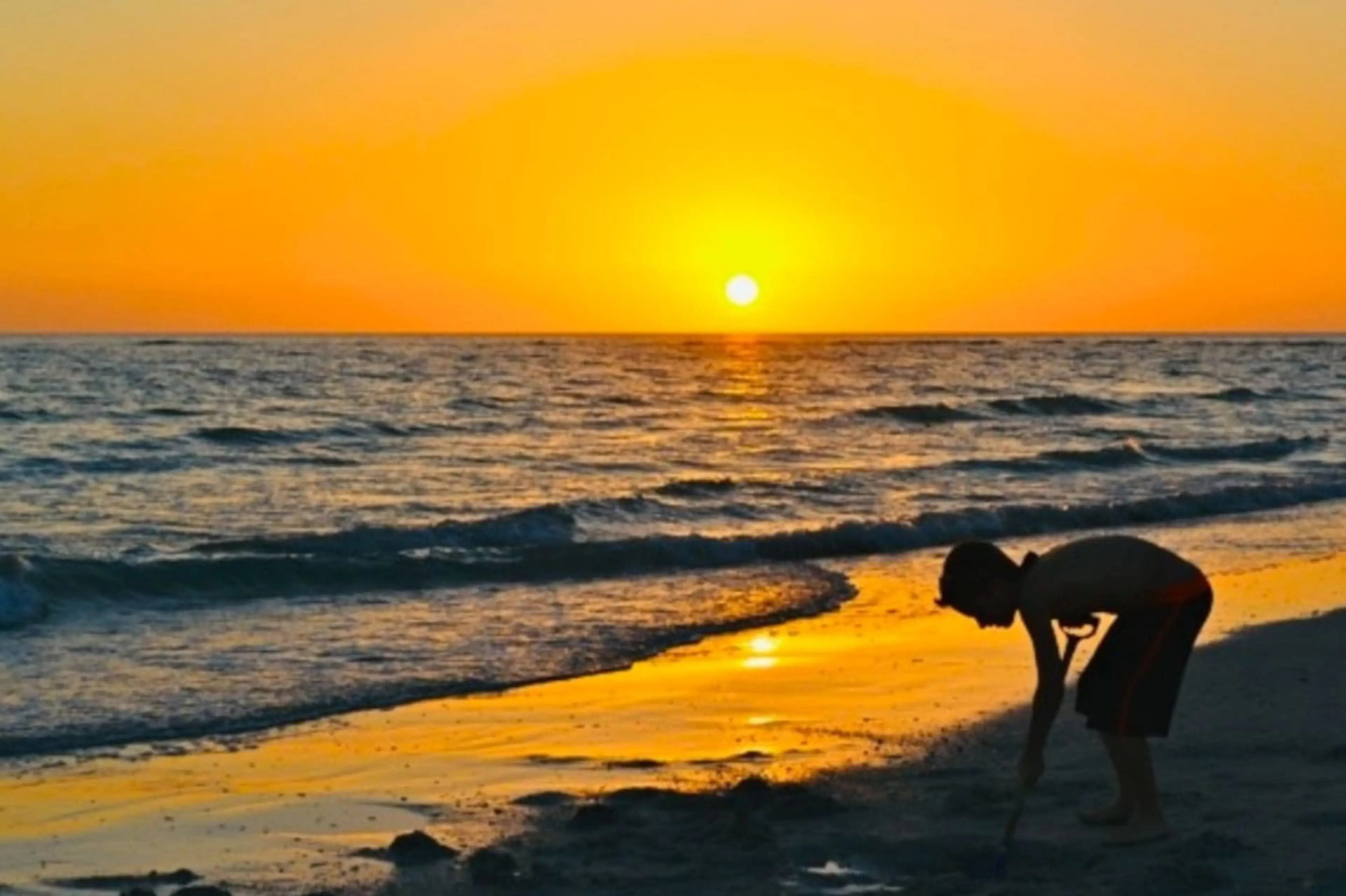 Walk or Bike to #1 Beach in the United States, Siesta Key Beach