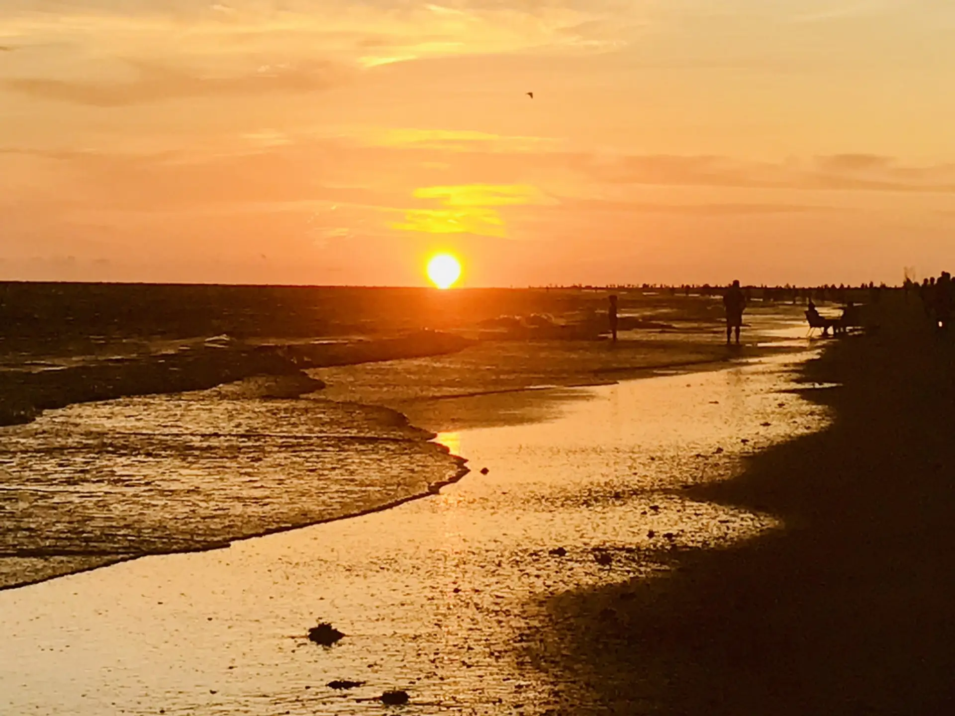 Siesta Key Beach