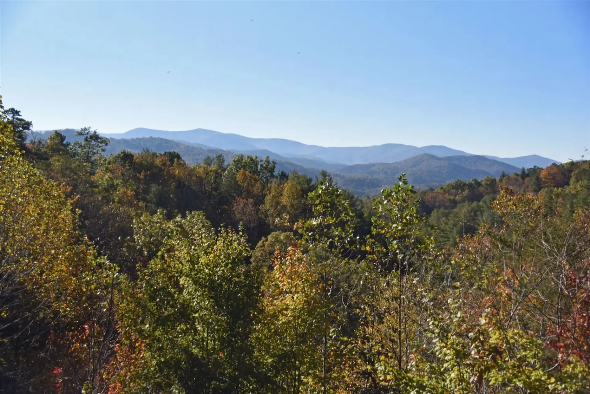 Luxury Pet Friendly Blue Ridge Cabin Rental with hot tub- Fenced Yard and Mountain View