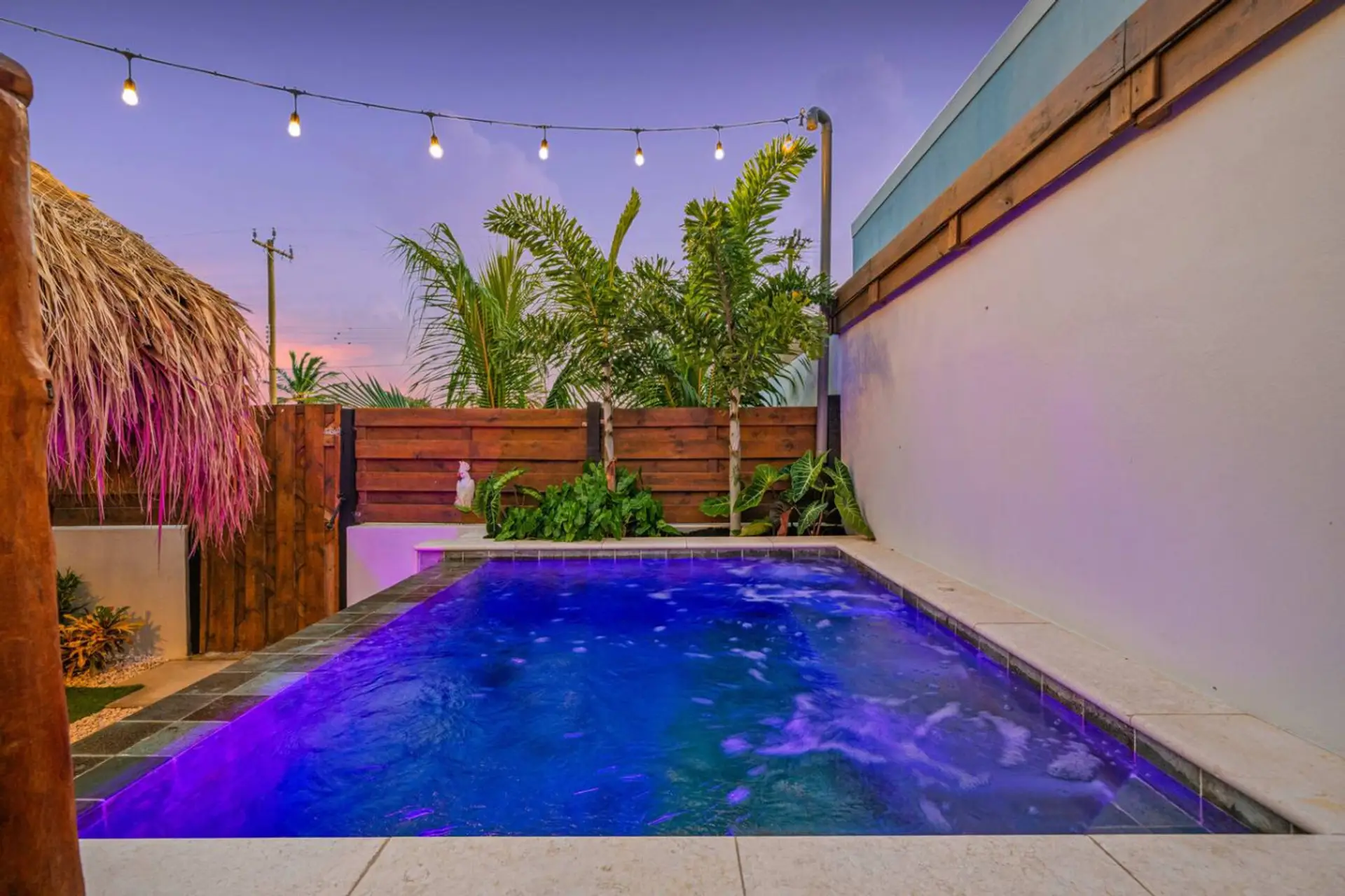 Calm evening pool setting for relaxed Aruba nights
