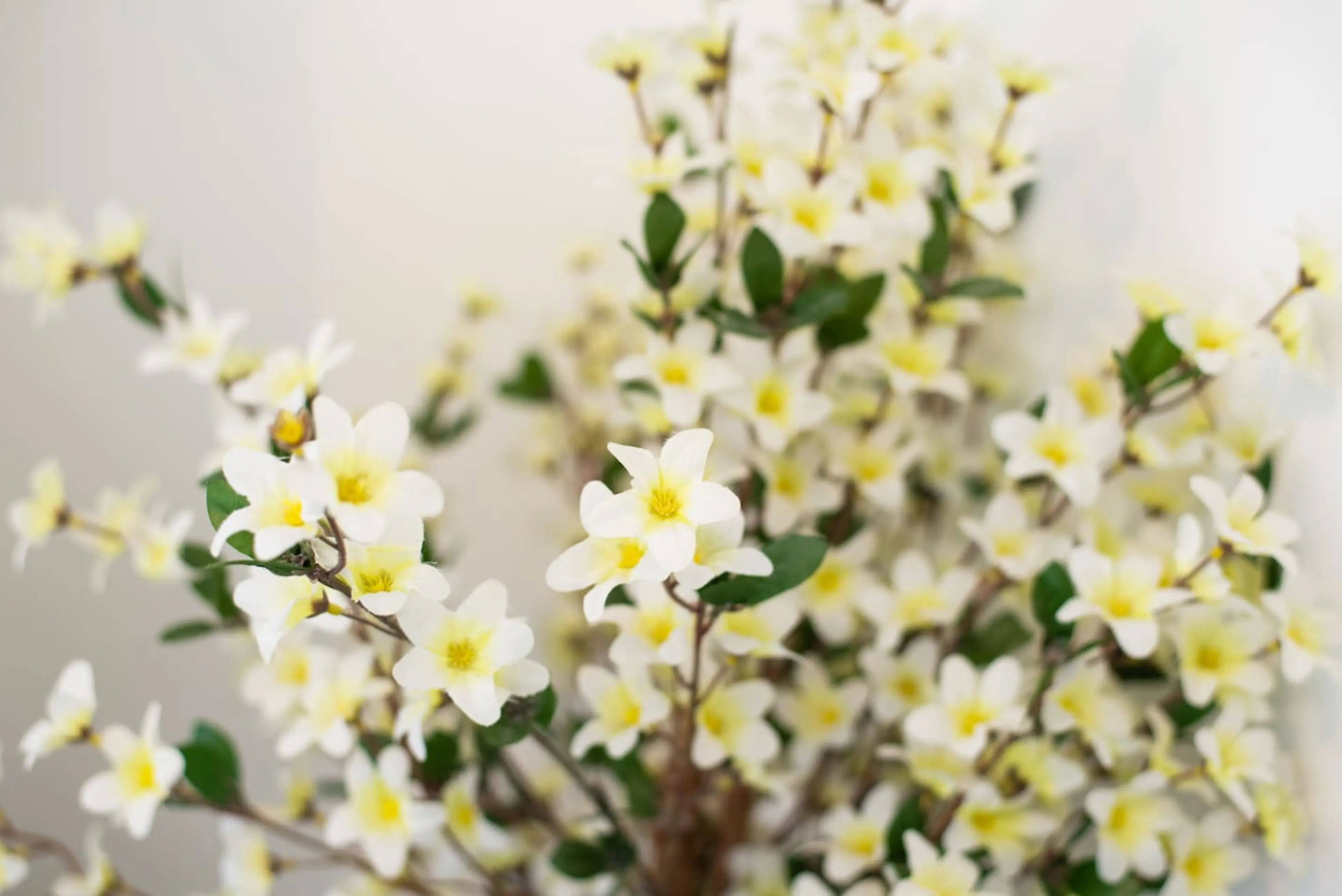 1203A Neath Road - Image 28