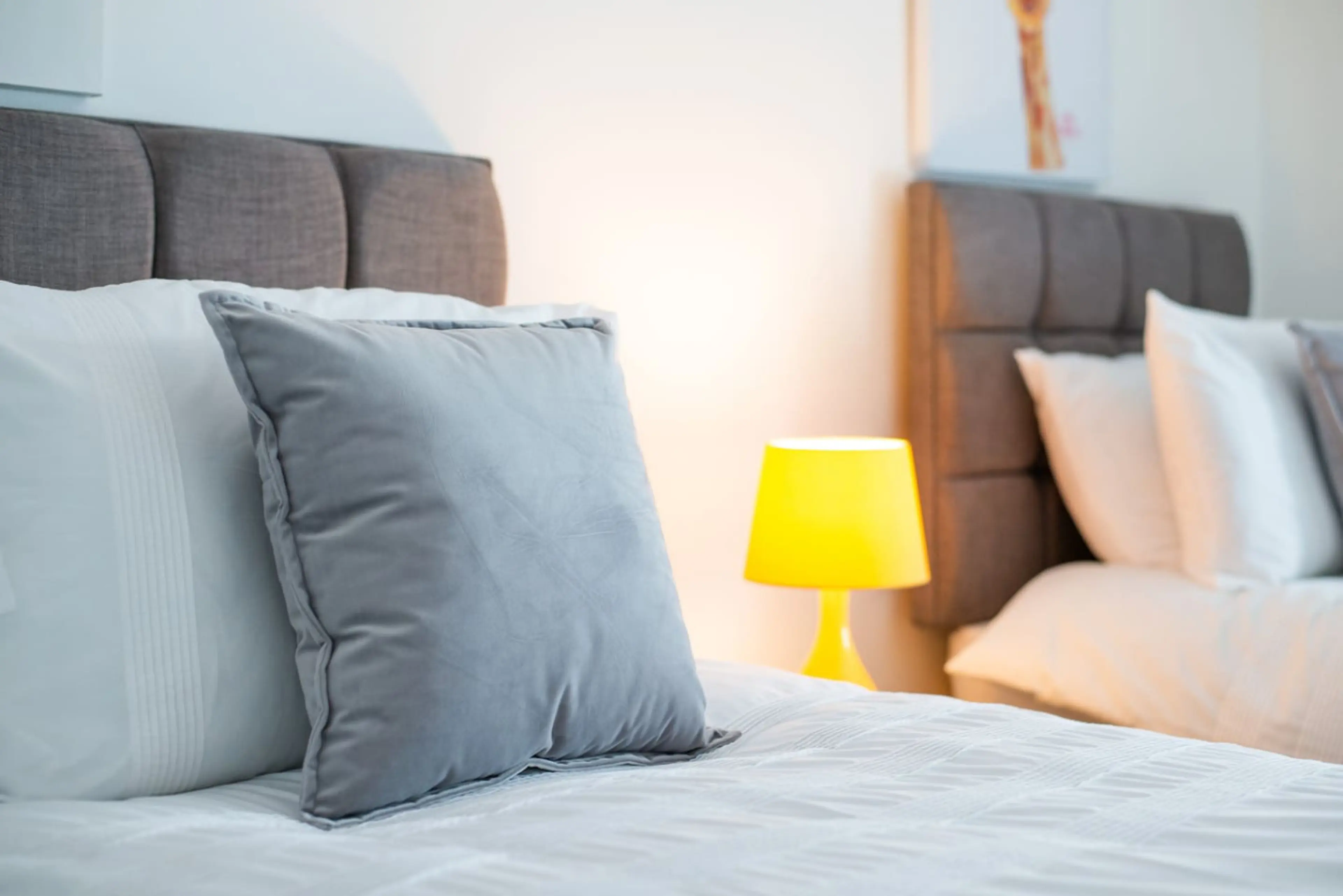 59 Morris Lane - Image 15