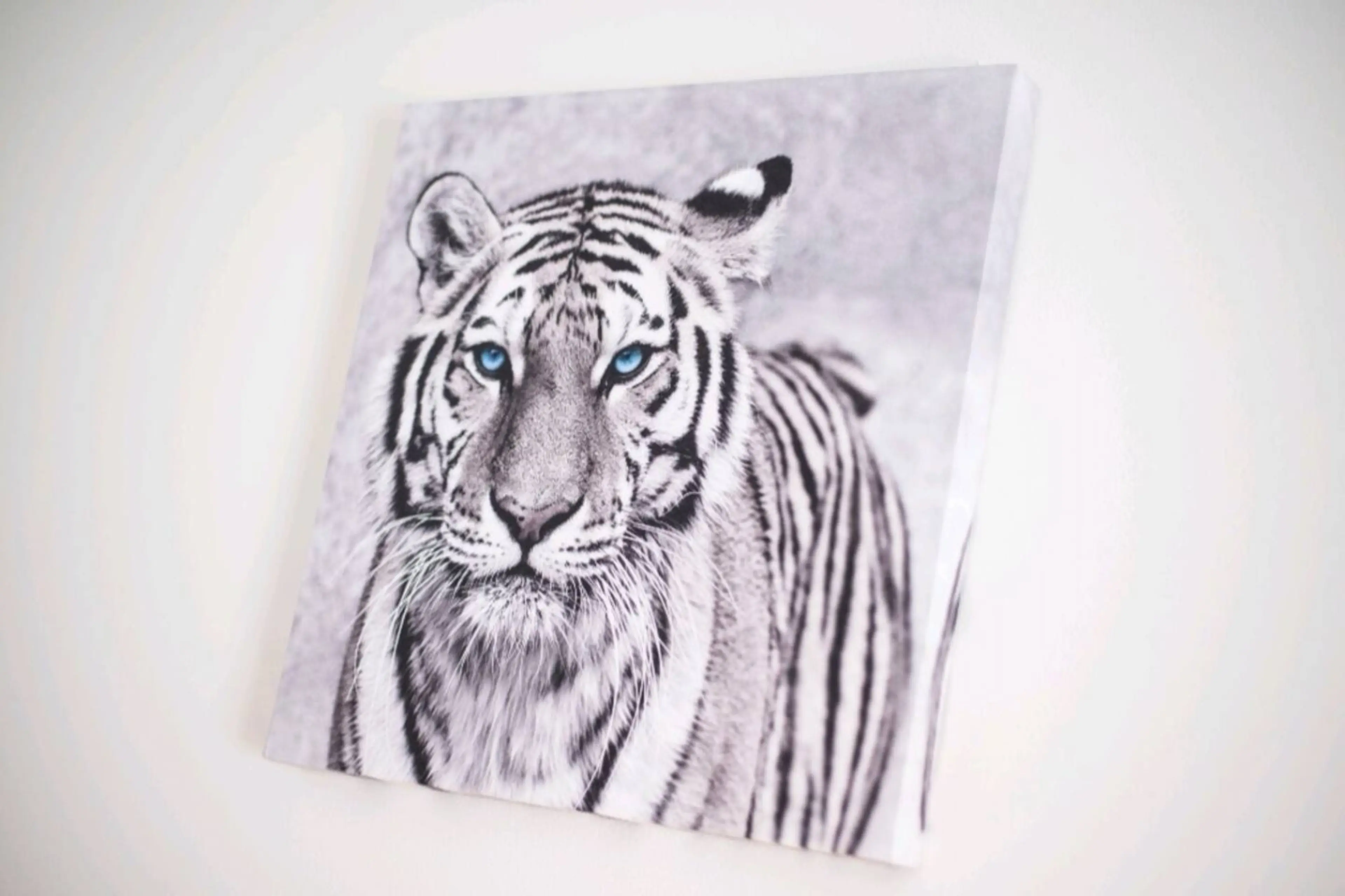 48 Morris Street - Image 20