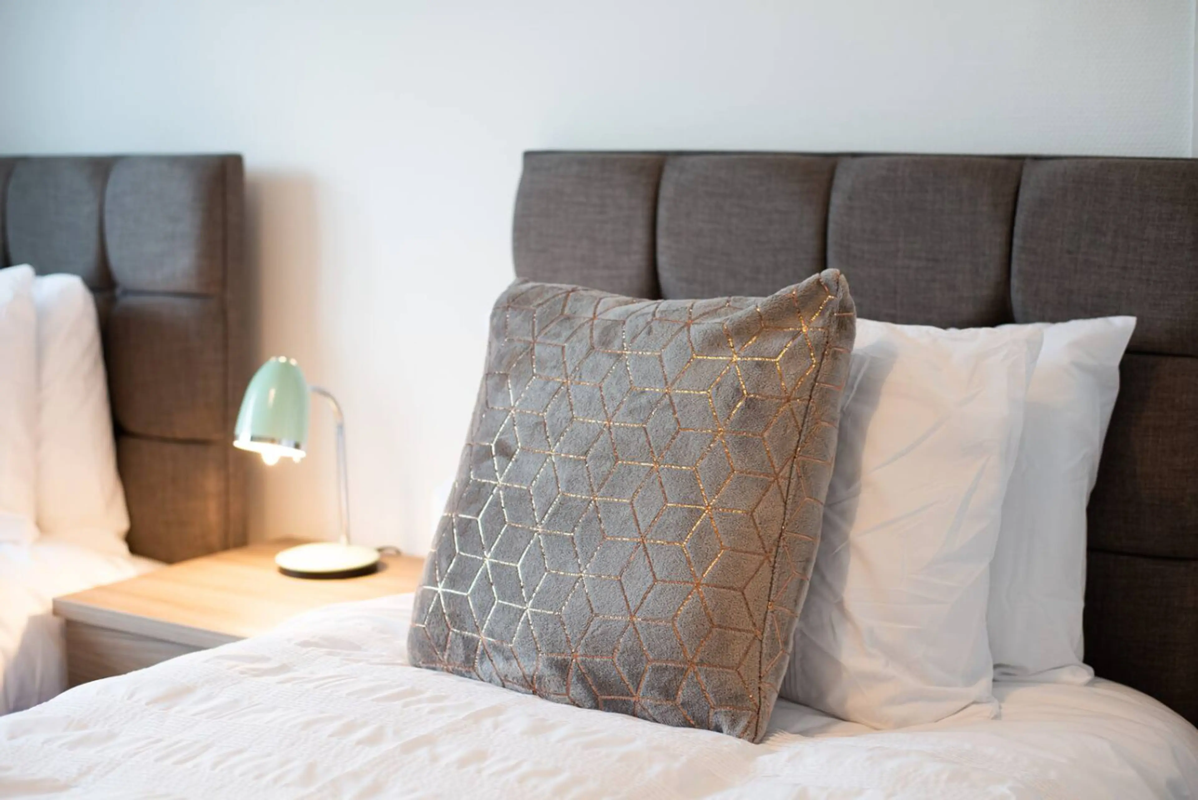 1011 Carmarthen Road - Image 21