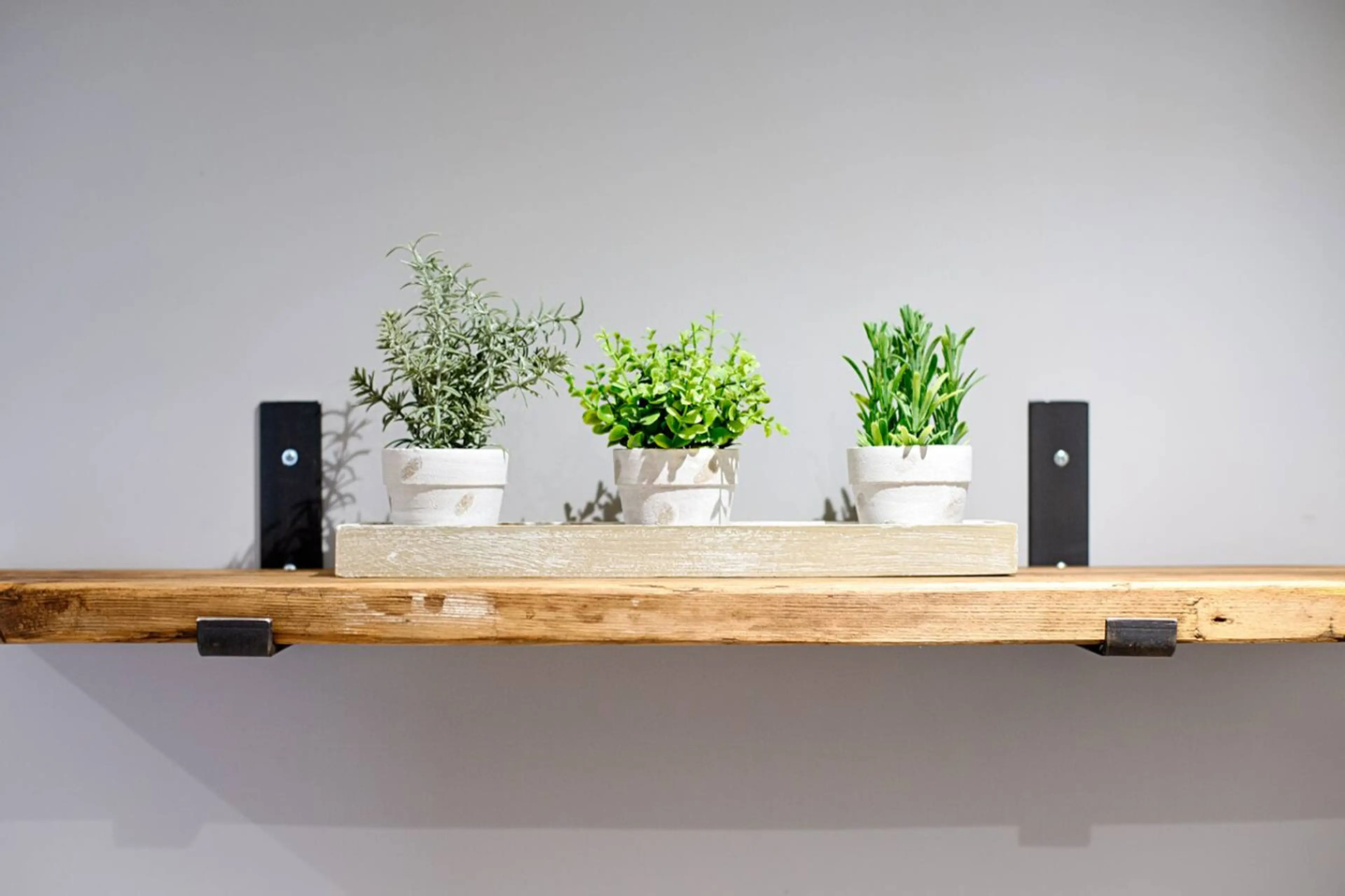 Murray Street Flat 1 - Image 27