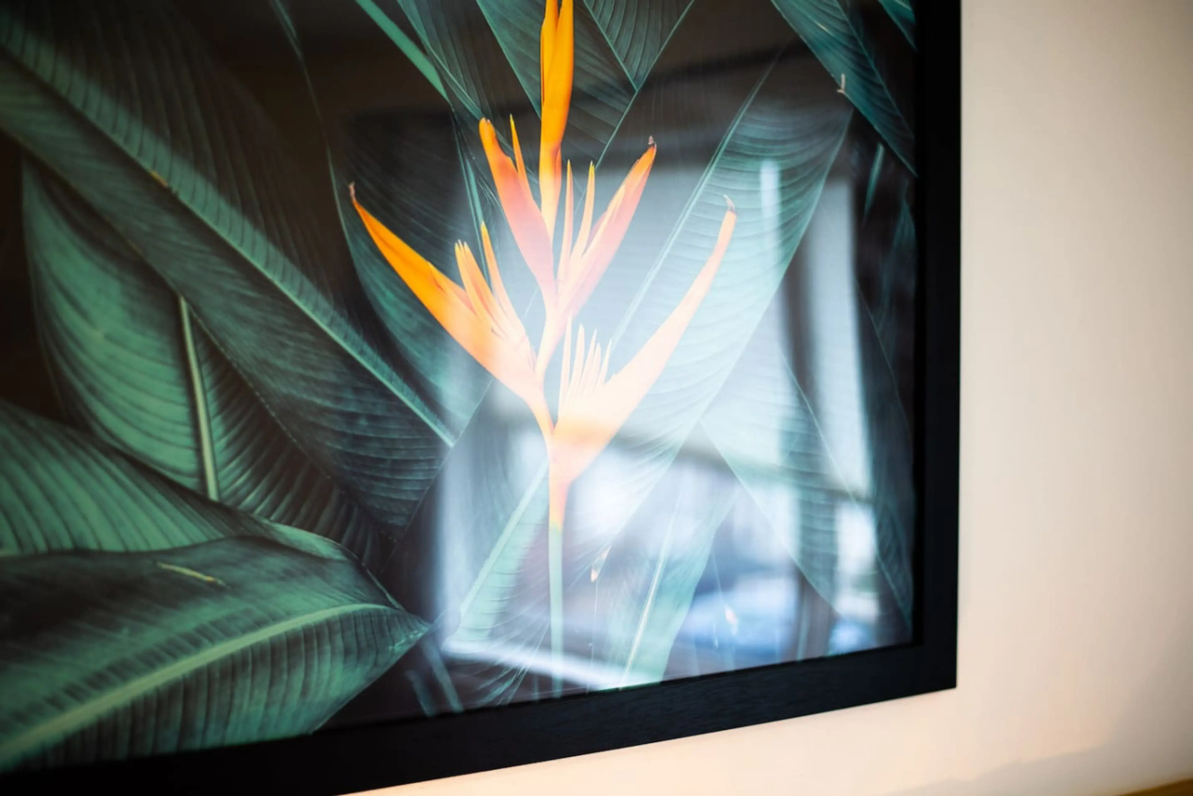 17 Laurel Place - Image 25