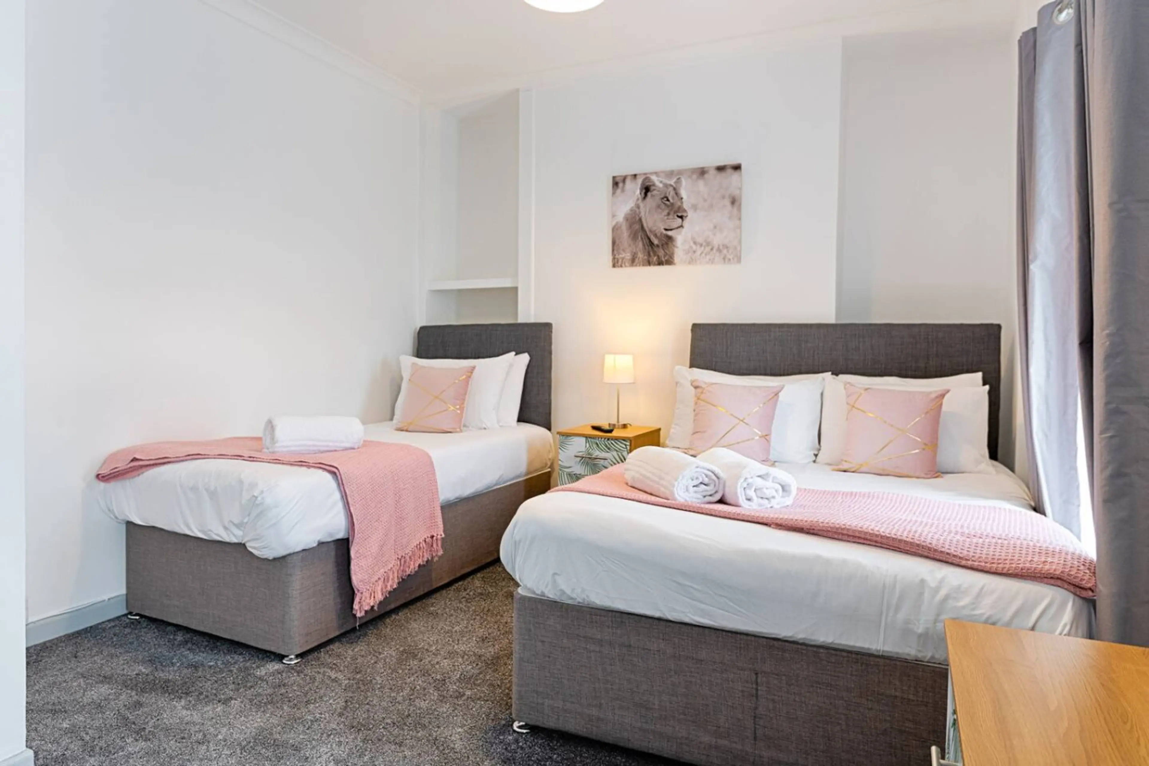 70 Watkin Street - Image 4