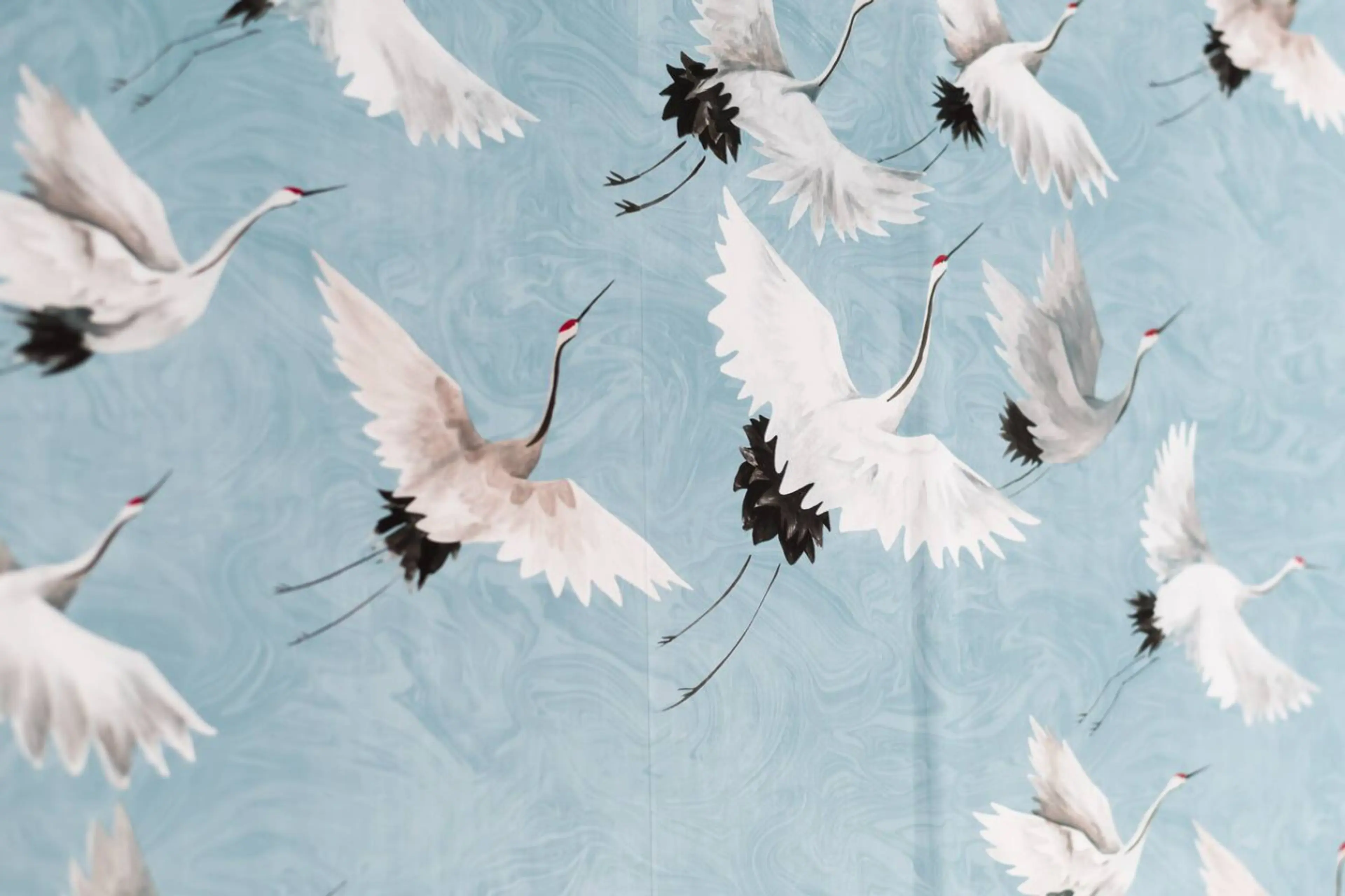 43A Osterley Street - Room 7 - Image 3