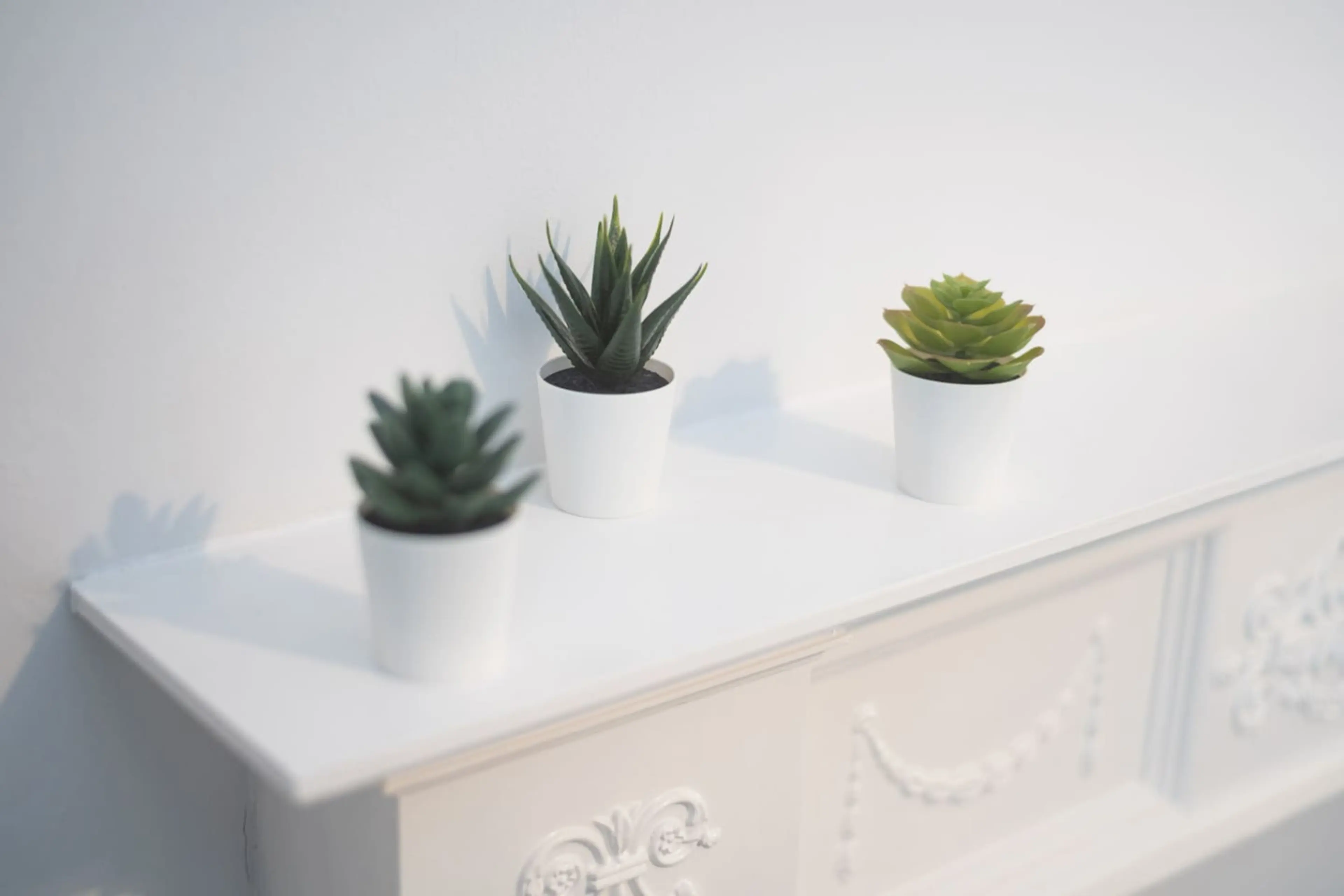 14 Bennett Street - Image 19